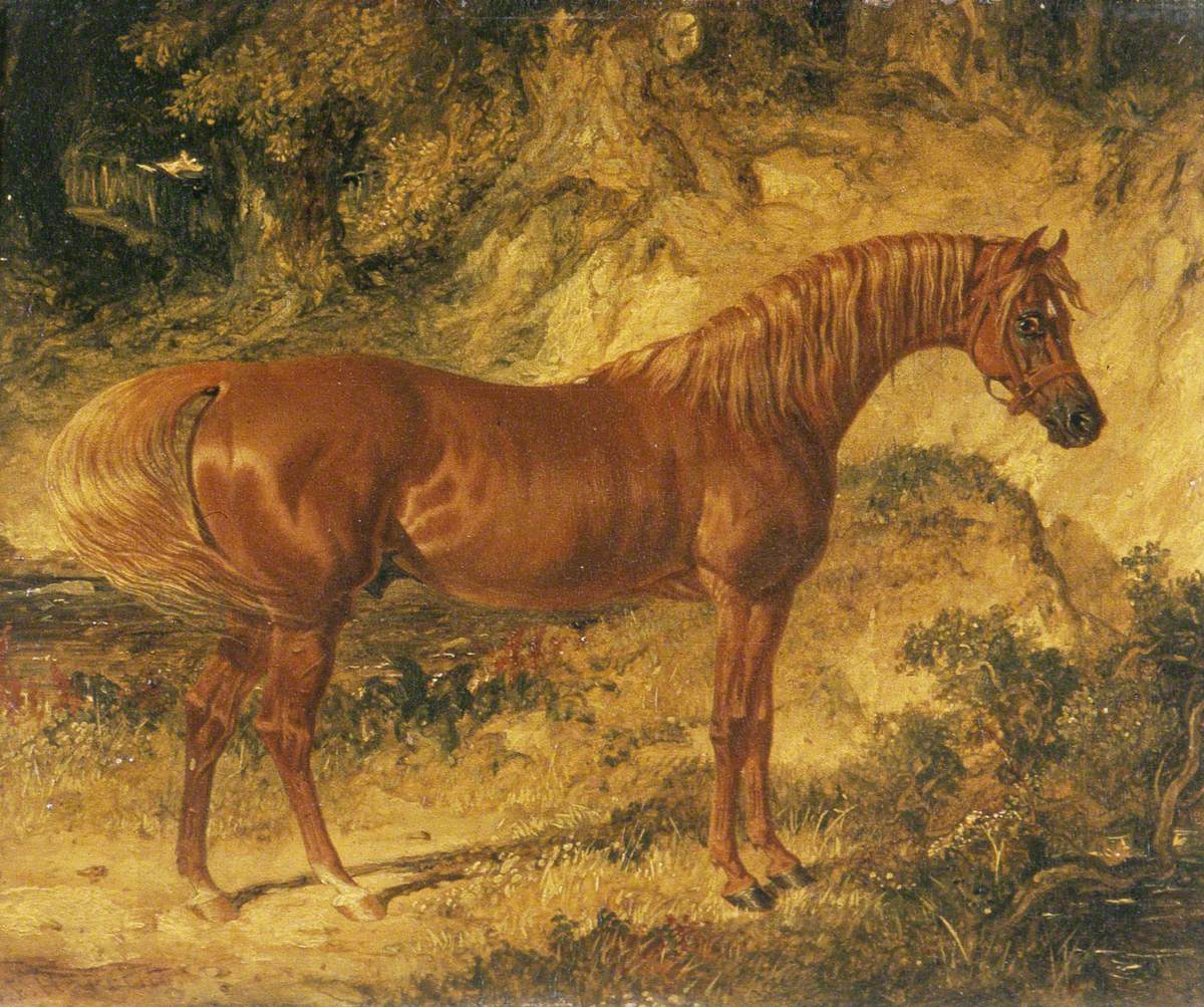 Le cheval de course « Actéon » - John Frederick Herring, Sr.