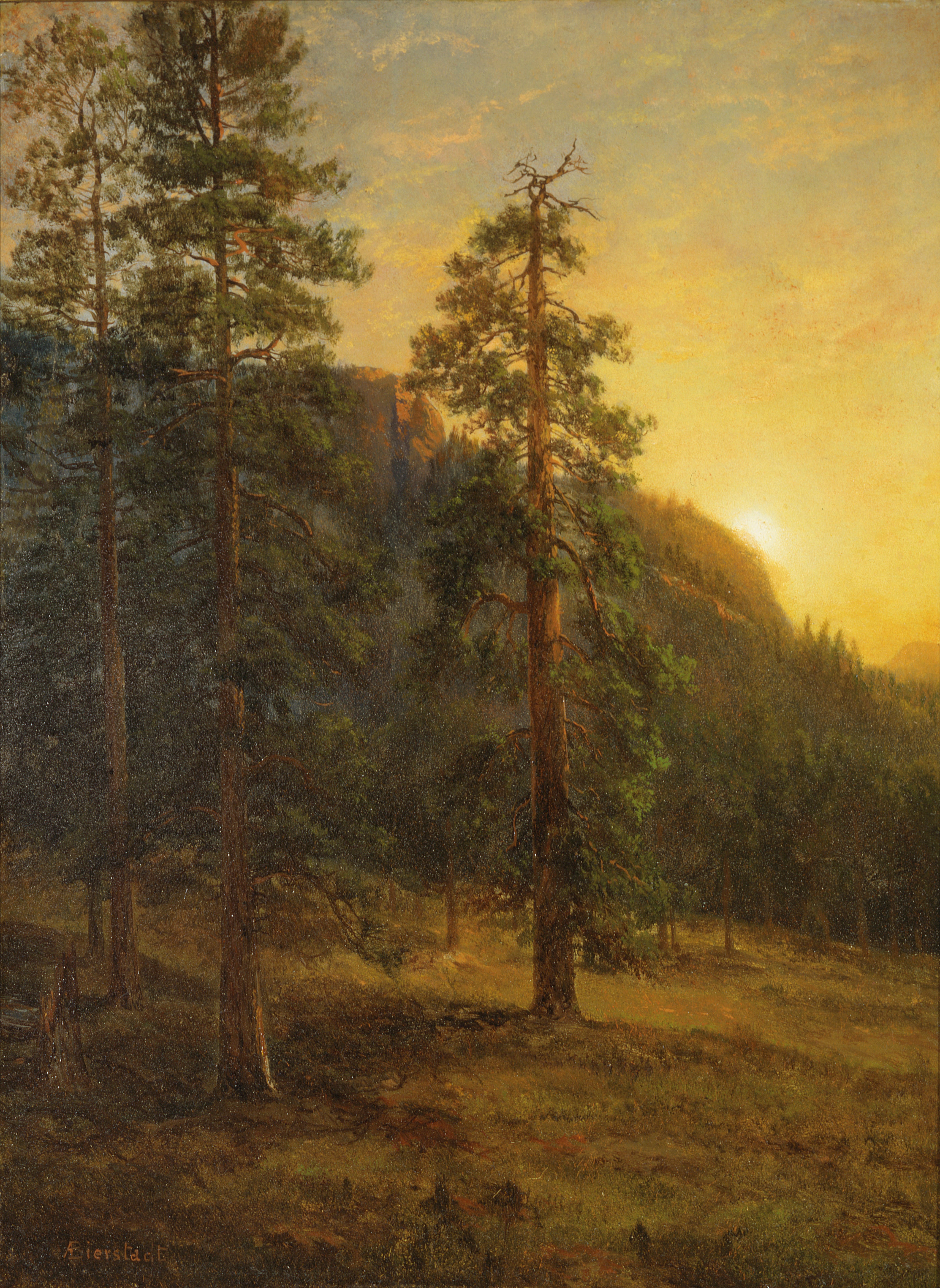 Séquoias de Californie - Albert Bierstadt