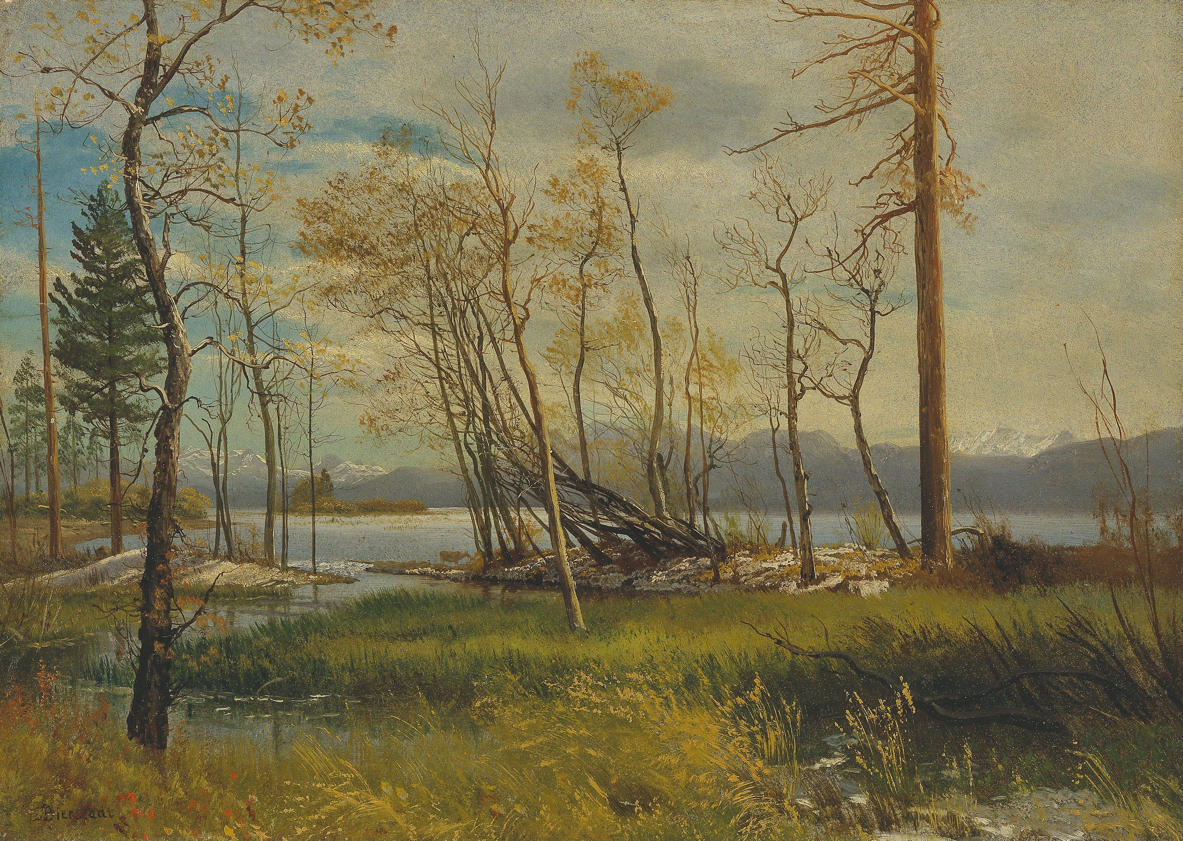 Le lac Tahoe - Albert Bierstadt