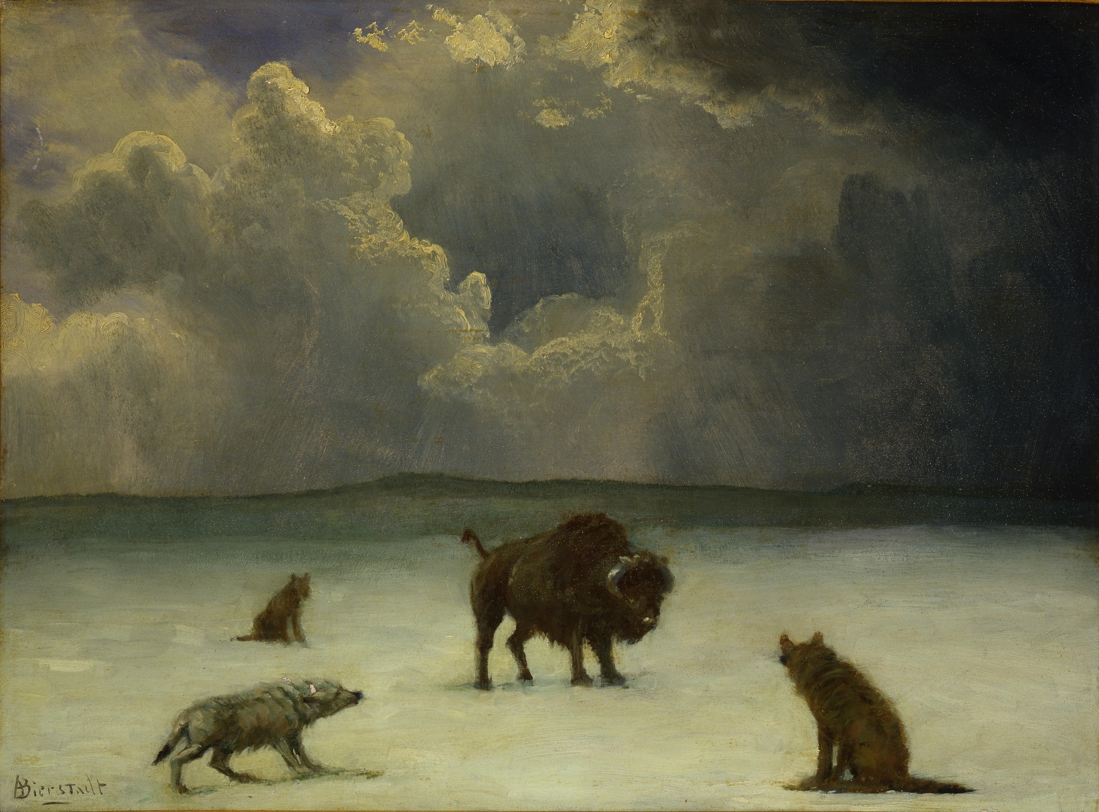Pris au piège - Albert Bierstadt