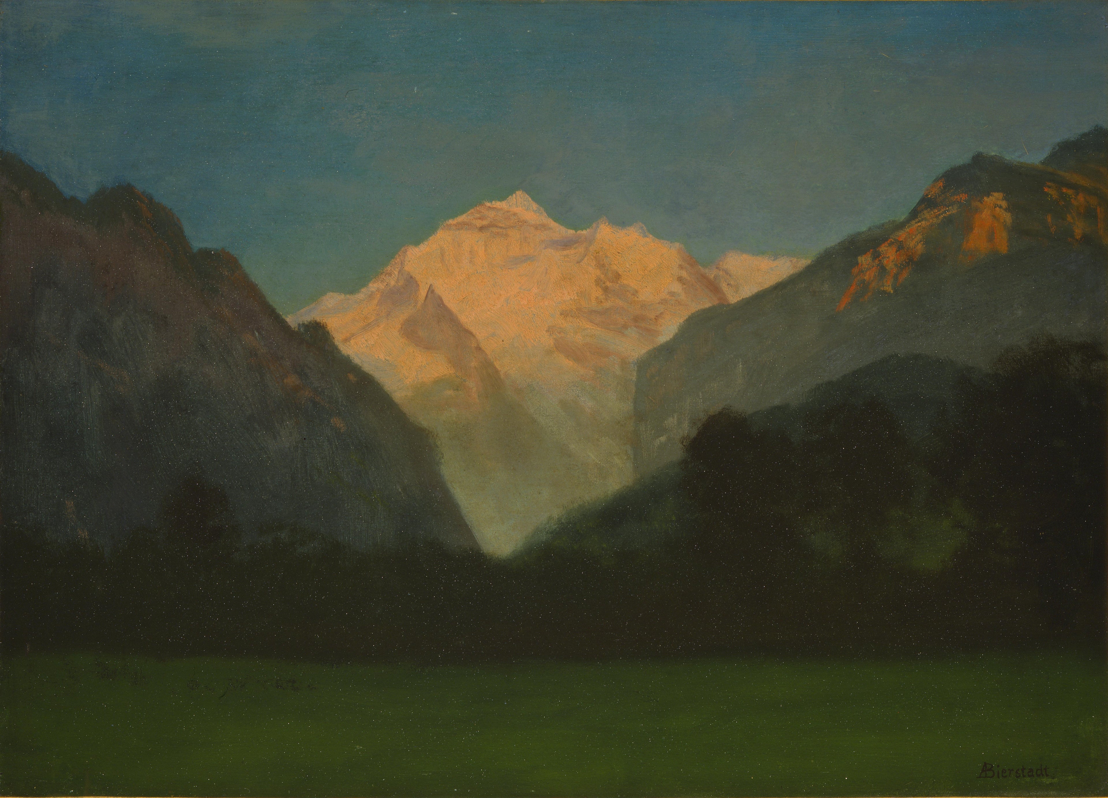 Vue du parc des Glaciers - Albert Bierstadt