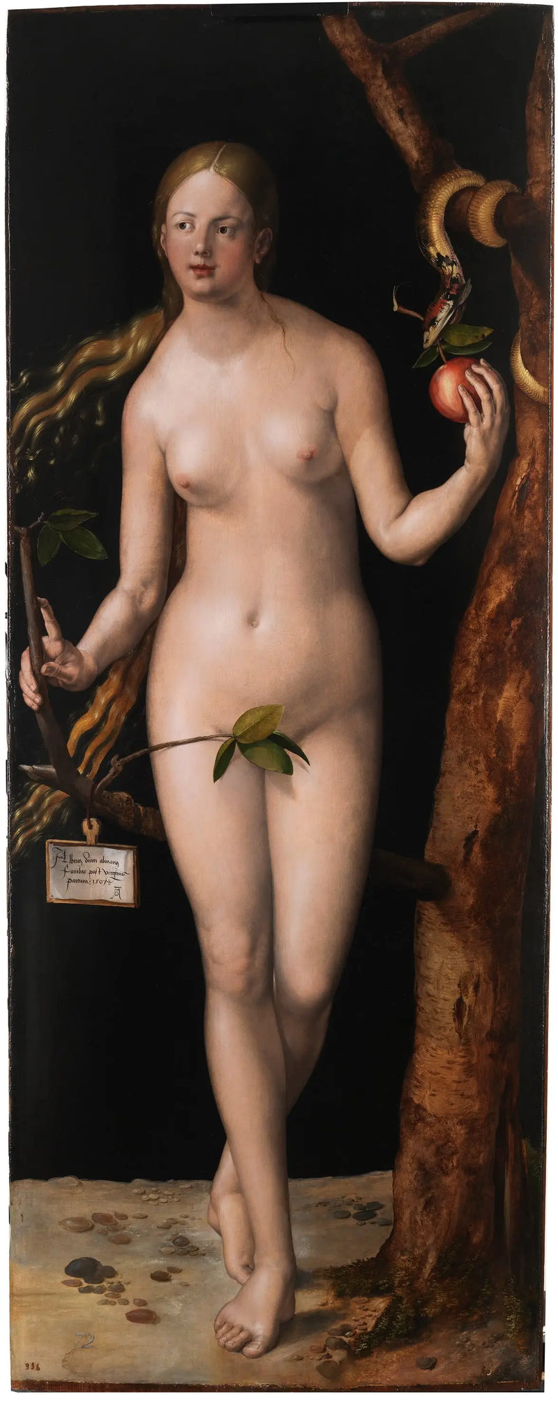 イヴ - アルブレヒト・デューラー