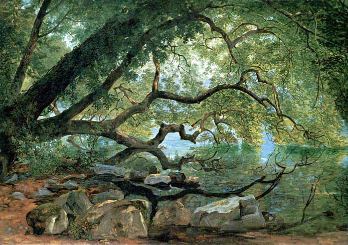 Un arbre Ilex sur le lac d'Albano, en Italie - John Frederick Kensett