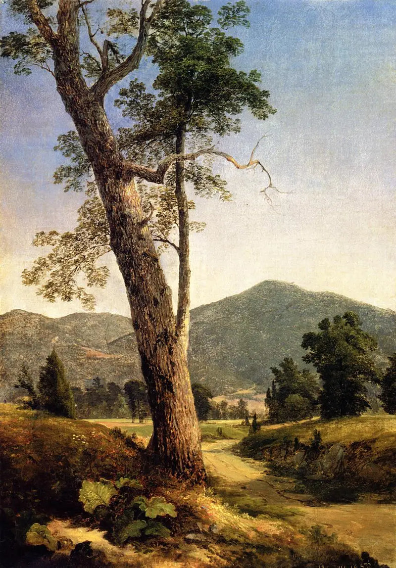 木の向こう側の風景 - アッシャー・ブラウン・デュランド

Source:
Paysage au-delà de l'arbre - Asher Brown Durand