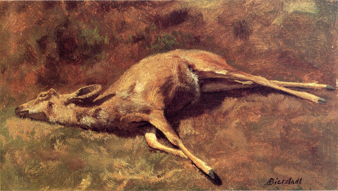 Un natif des bois - Albert Bierstadt