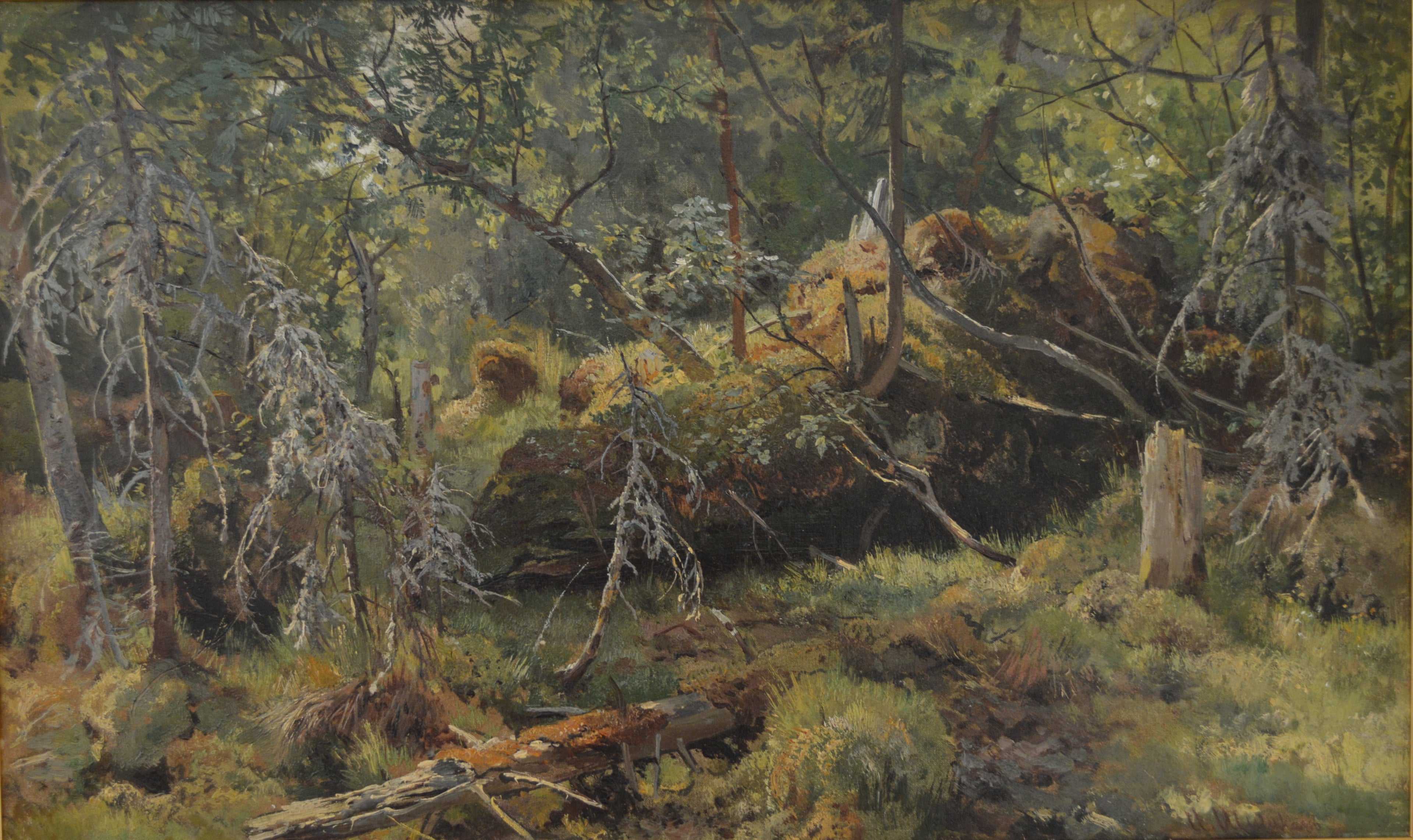 Branches. Une étude - Ivan Chichkine