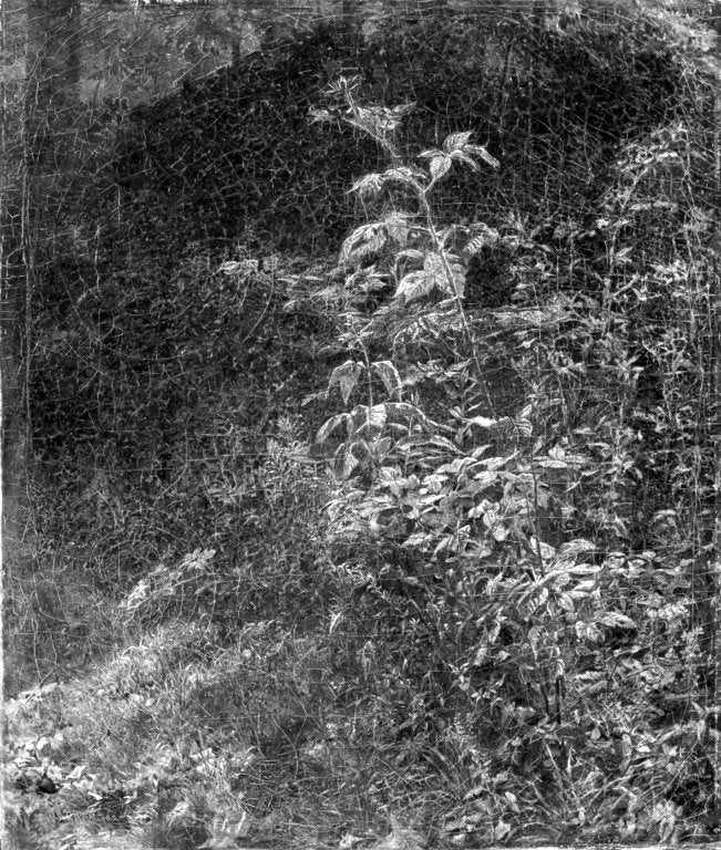 Mûrier - William Trost Richards