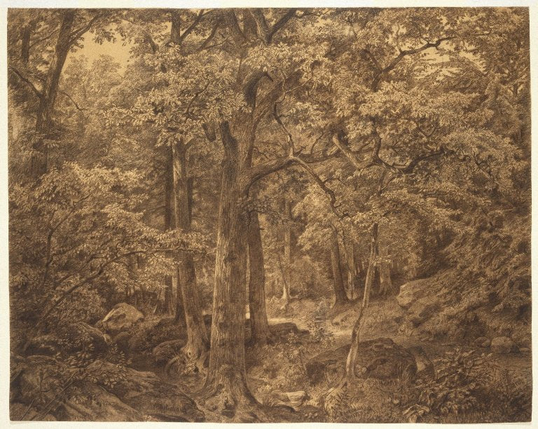 Intérieur de la forêt - William Trost Richards