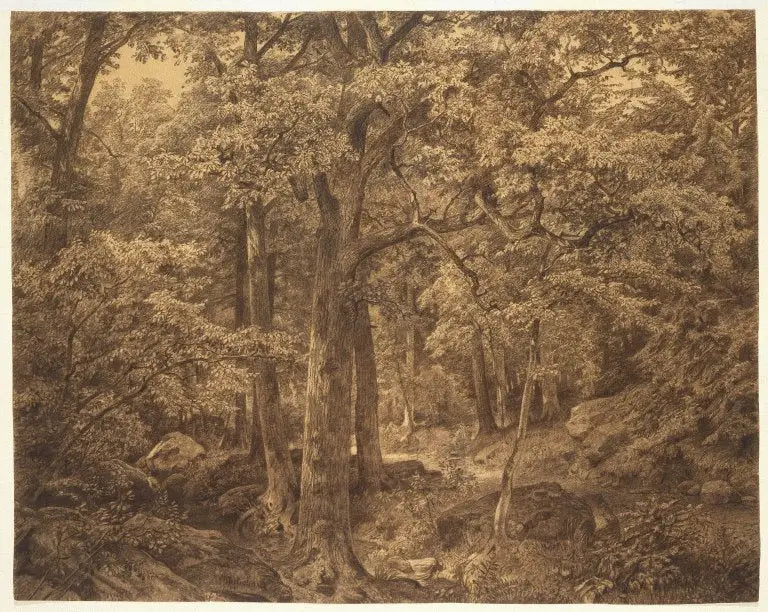 Intérieur de la forêt - William Trost Richards - Alpha Reproduction