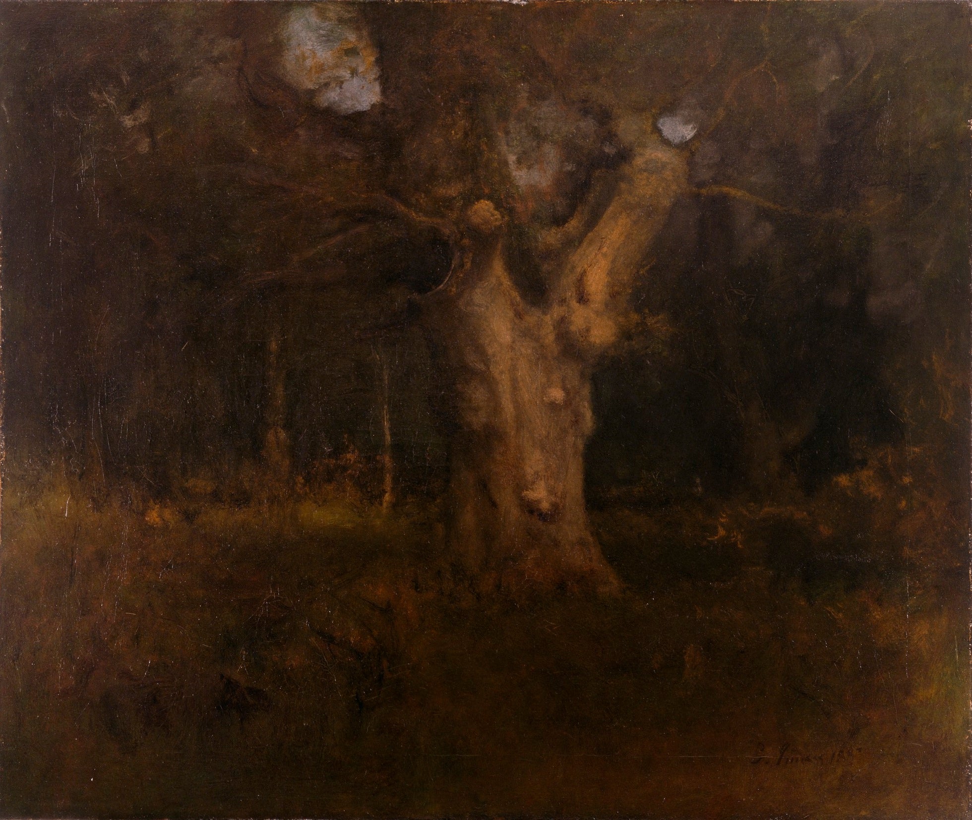 Hêtre royal dans la New Forest, Lyndhurst - George Inness