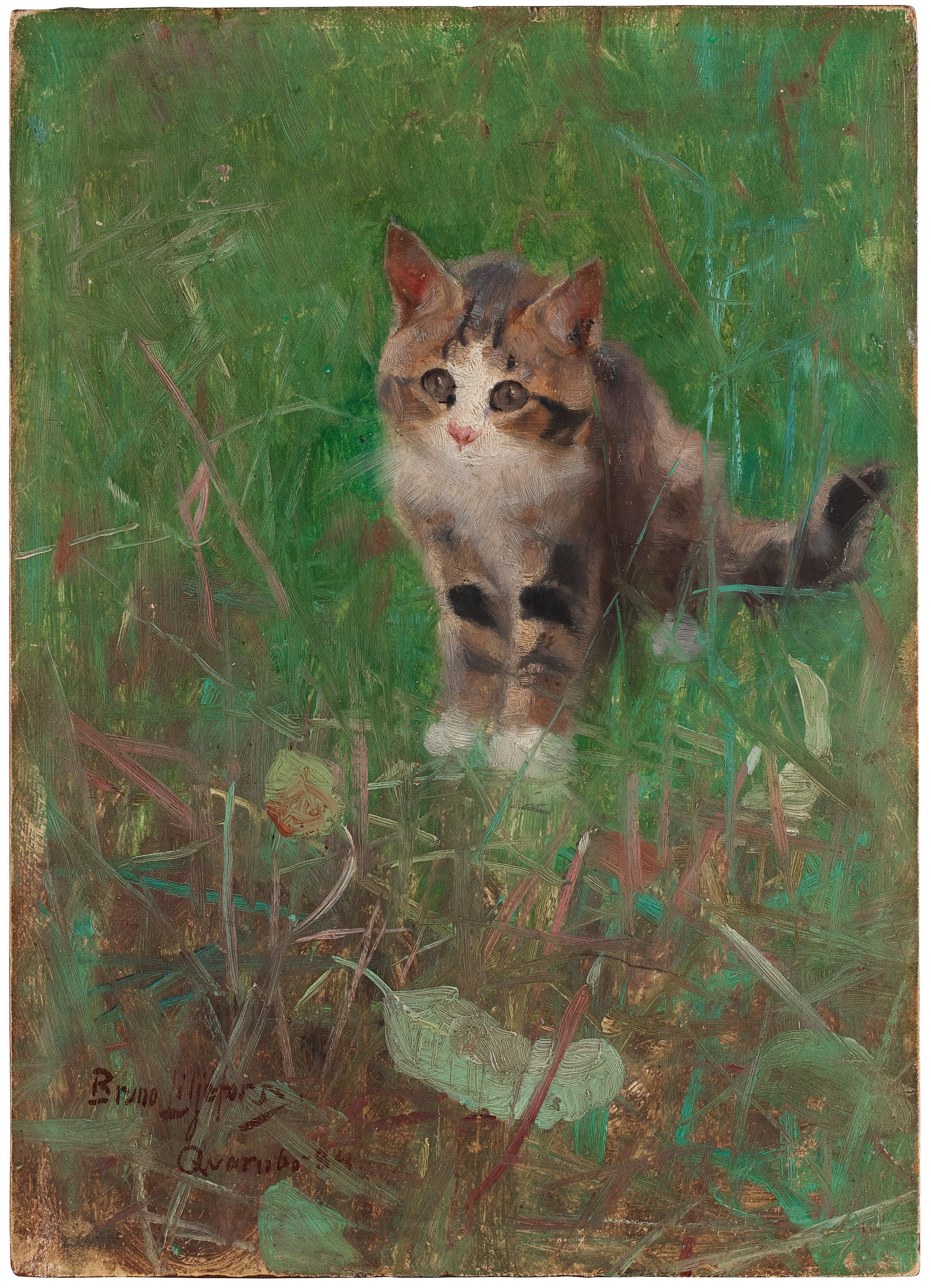 Chat dans la verdure estivale - Bruno Liljefors