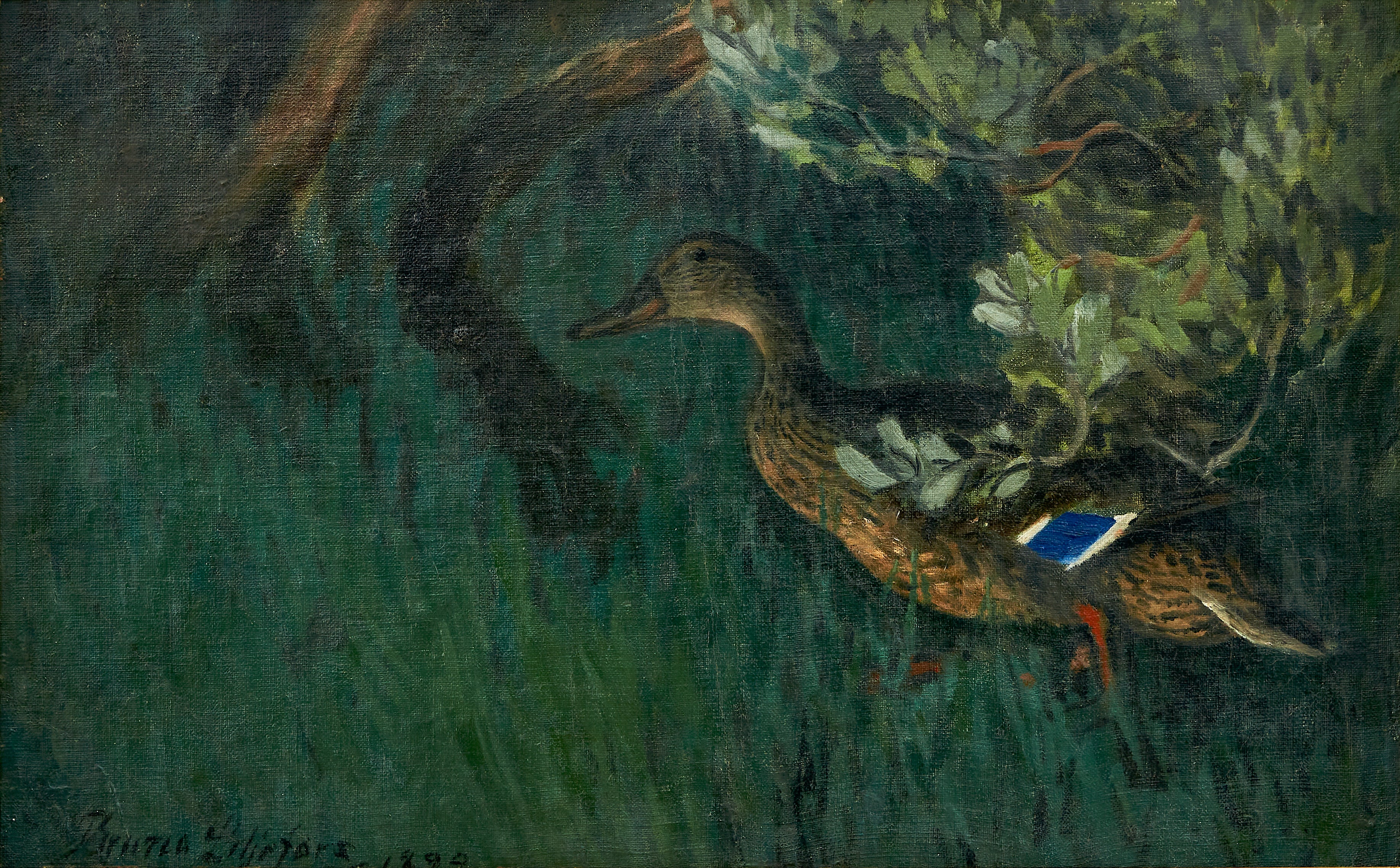 Canard colvert dans la verdure - Bruno Liljefors