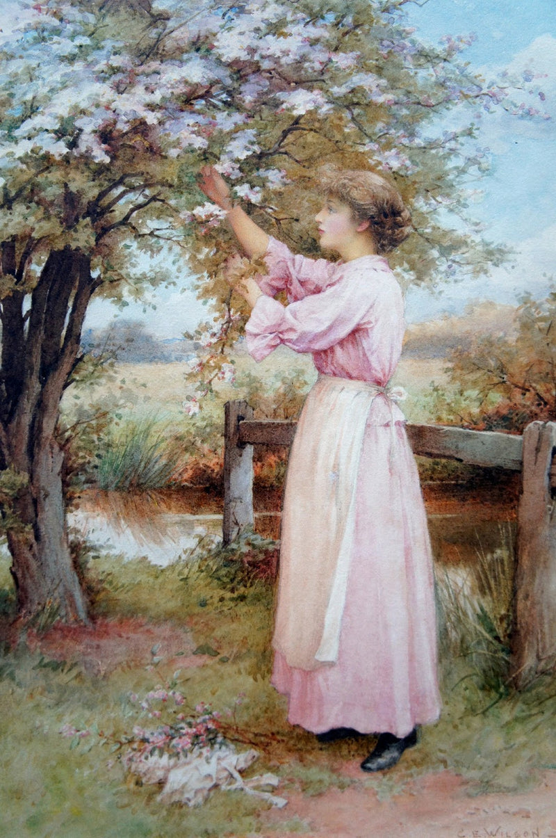 1900c - Apple Blossoms – Charles Edward Wilson