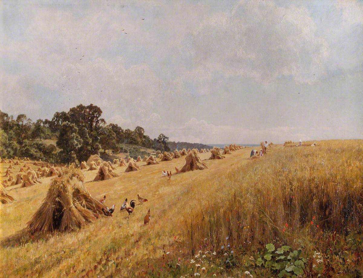 Récolte dans le champ familial - Edward Wilkins Waite