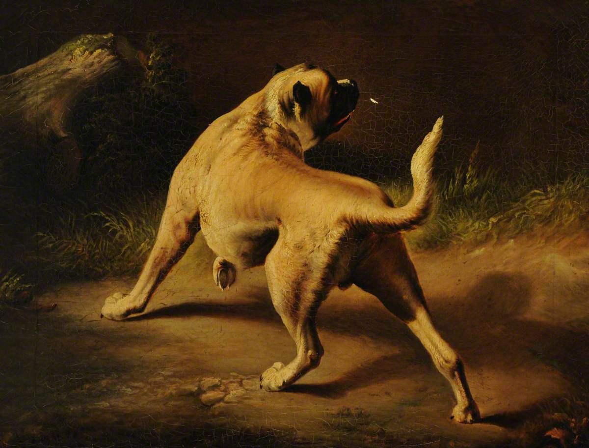 Un chien en alerte - Edwin Henry Landseer