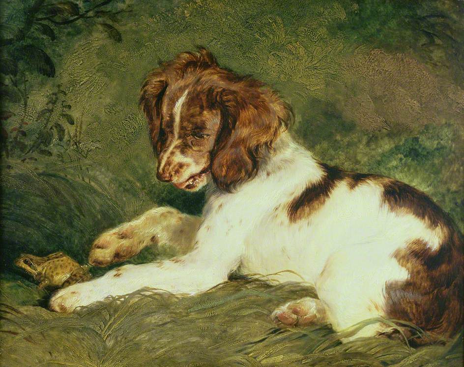 Un chiot taquine une grenouille - Edwin Henry Landseer