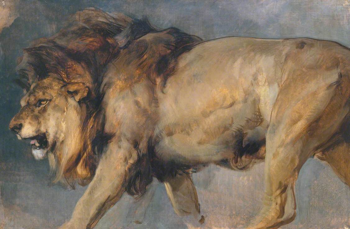 Étude d'un lion - Edwin Henry Landseer