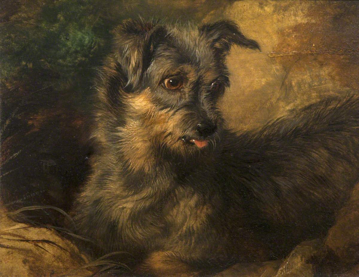 Gingembre' - Edwin Henry Landseer