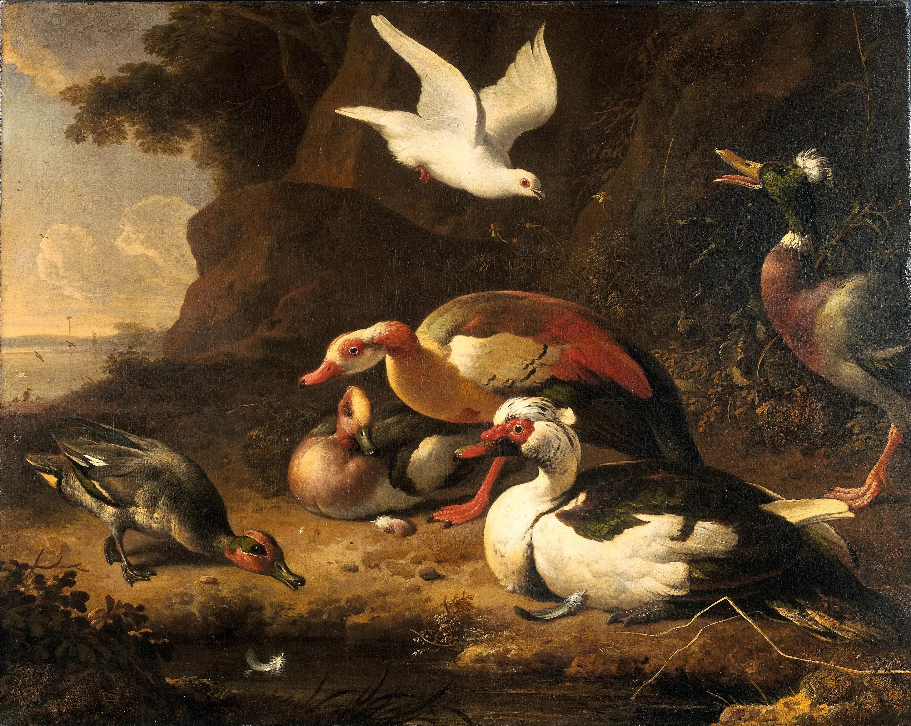 Canards - Melchior de Hondecoeter - Alpha Reproduction
