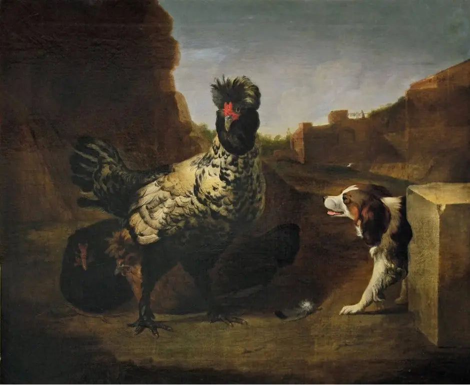 Un coq avec des poules et un chien - Melchior de Hondecoeter - Alpha Reproduction
