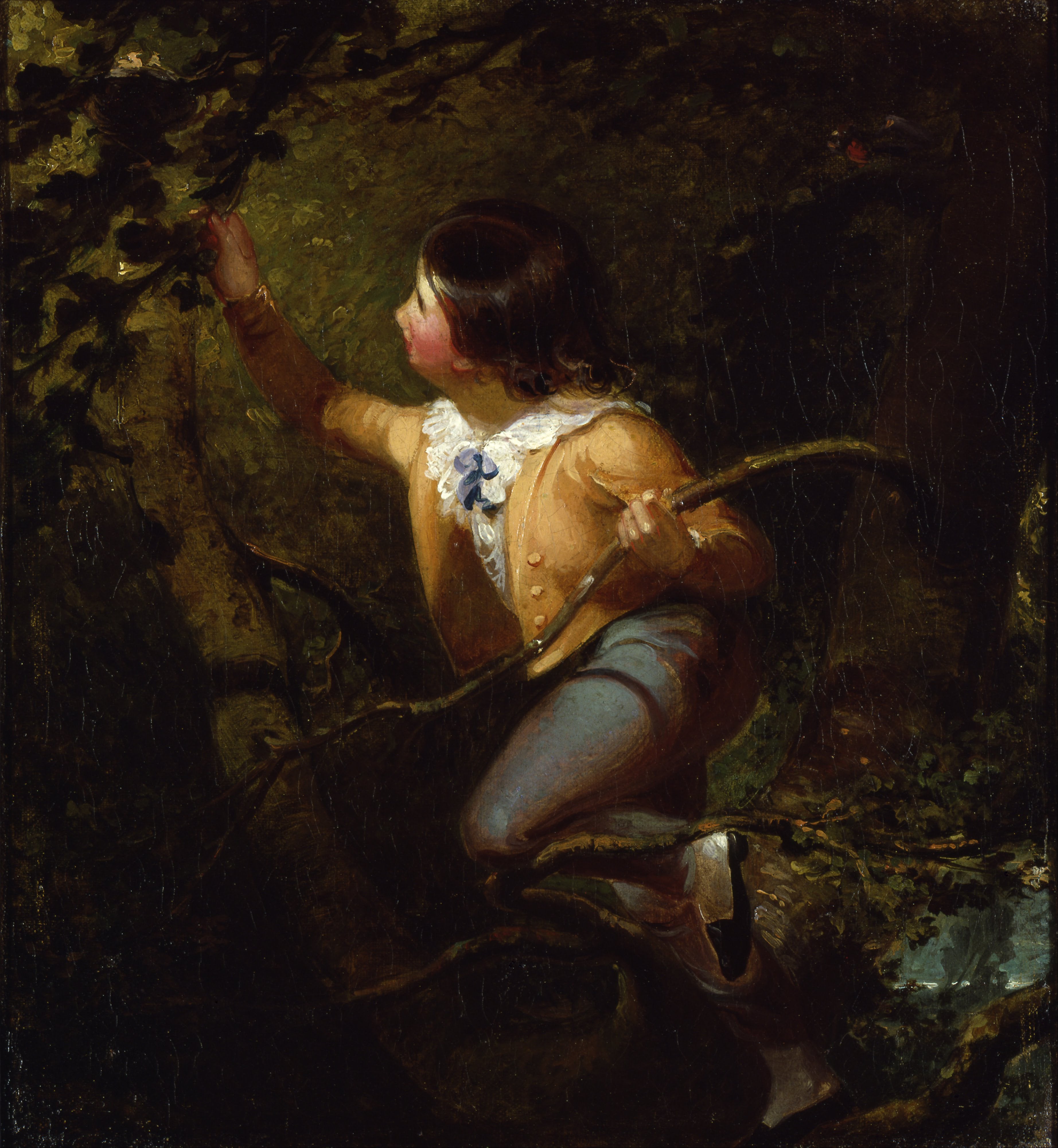 Nidification des oiseaux - Emanuel Leutze