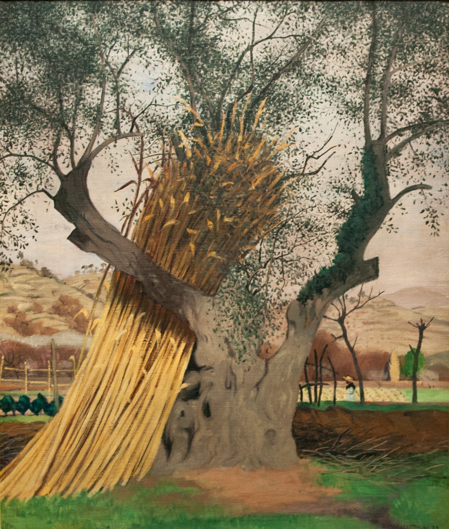 Le Vieil Olivier - Félix Vallotton