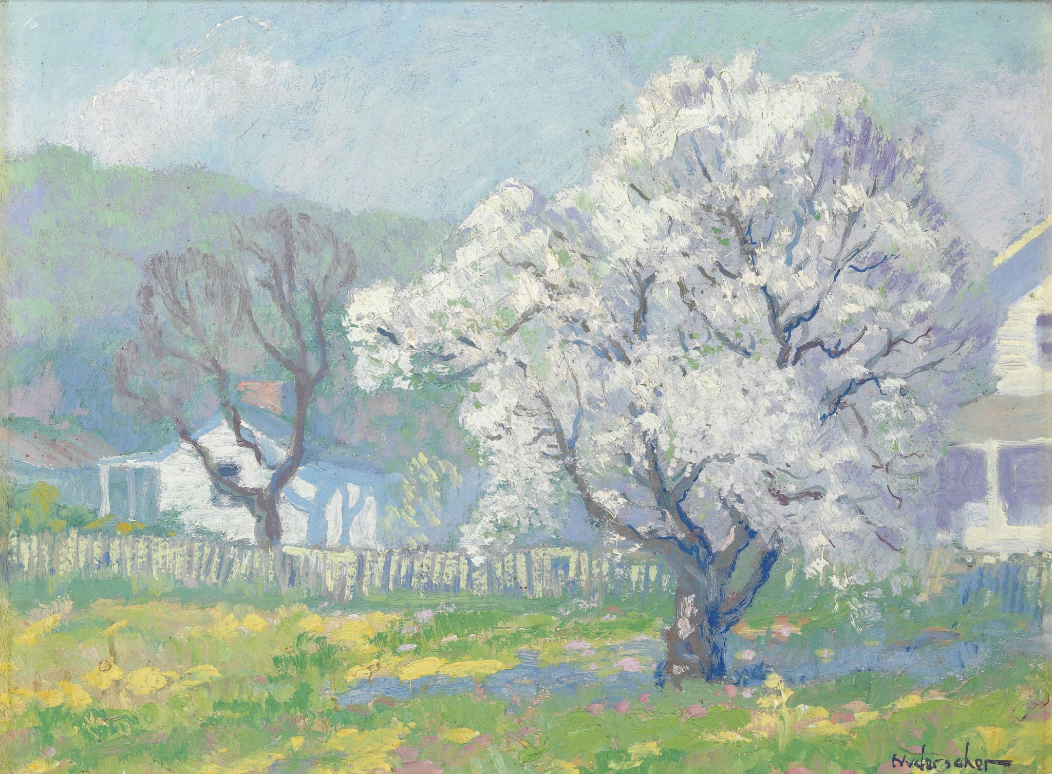 Cerisiers en fleurs, peinture de Frank Nuderscher