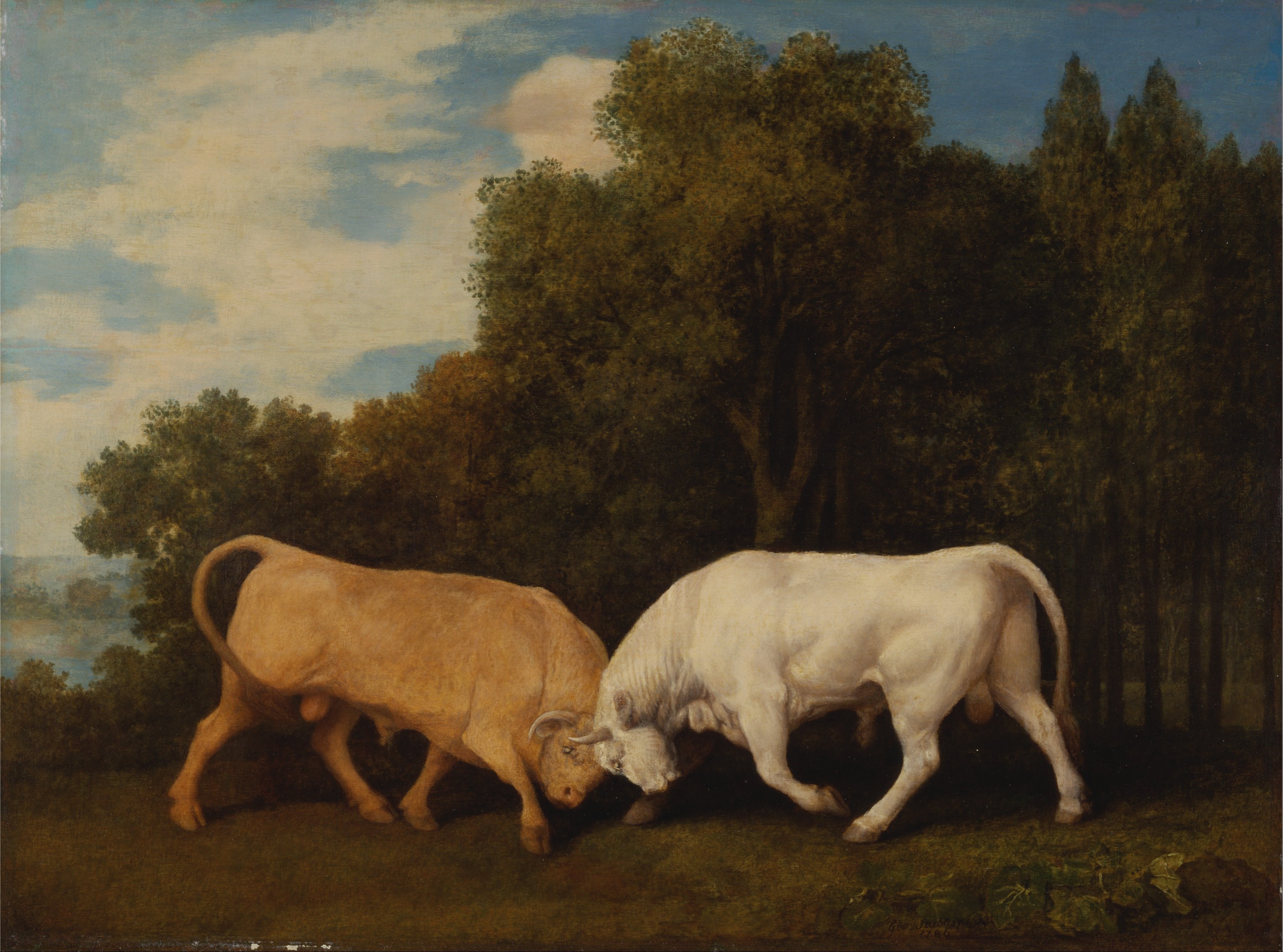 Taureaux - George Stubbs