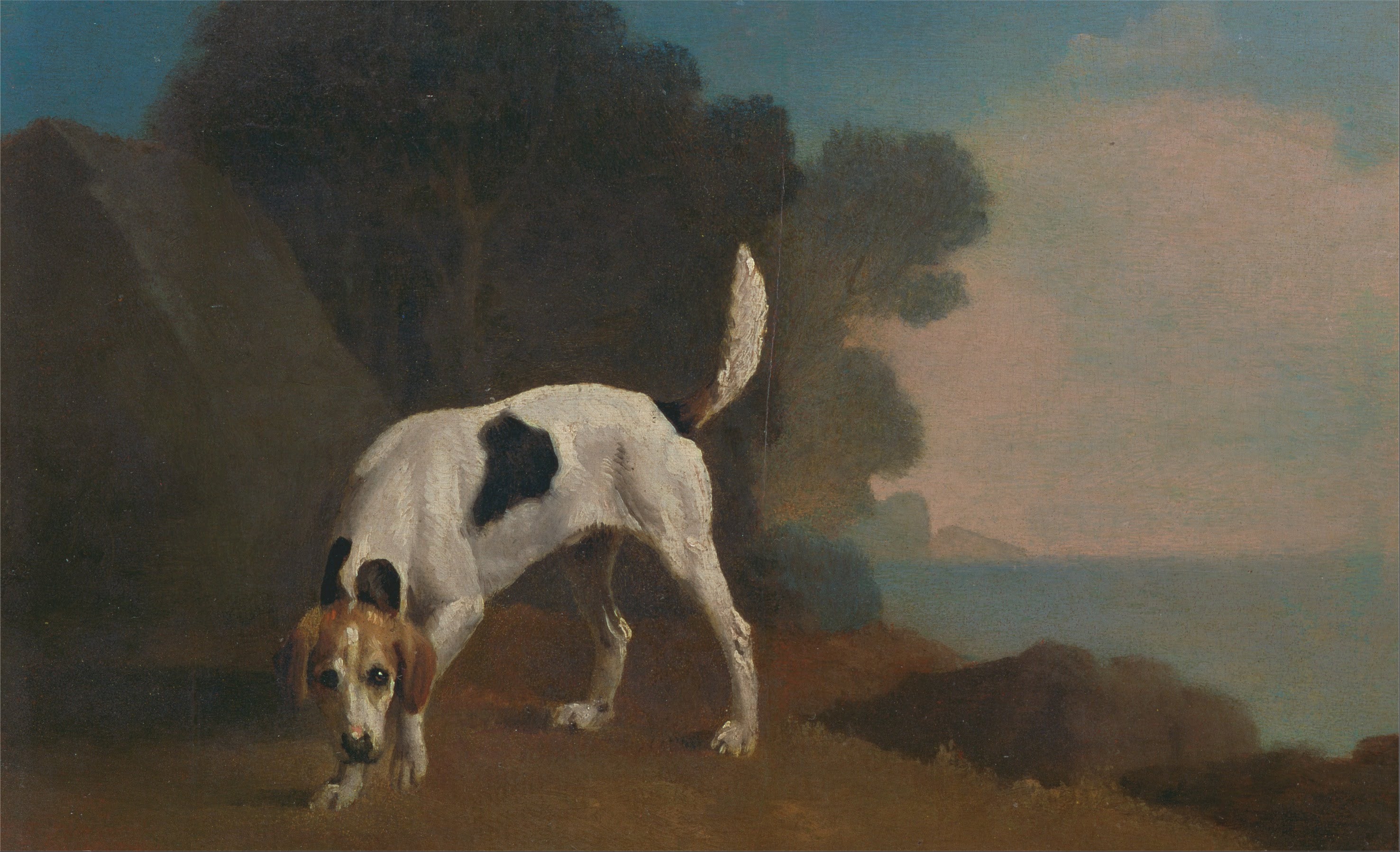 Chien courant - George Stubbs