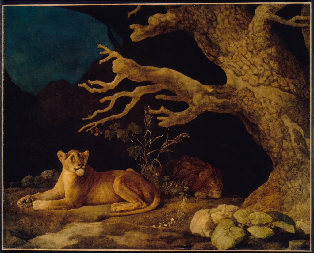 Lion et Lionne - George Stubbs