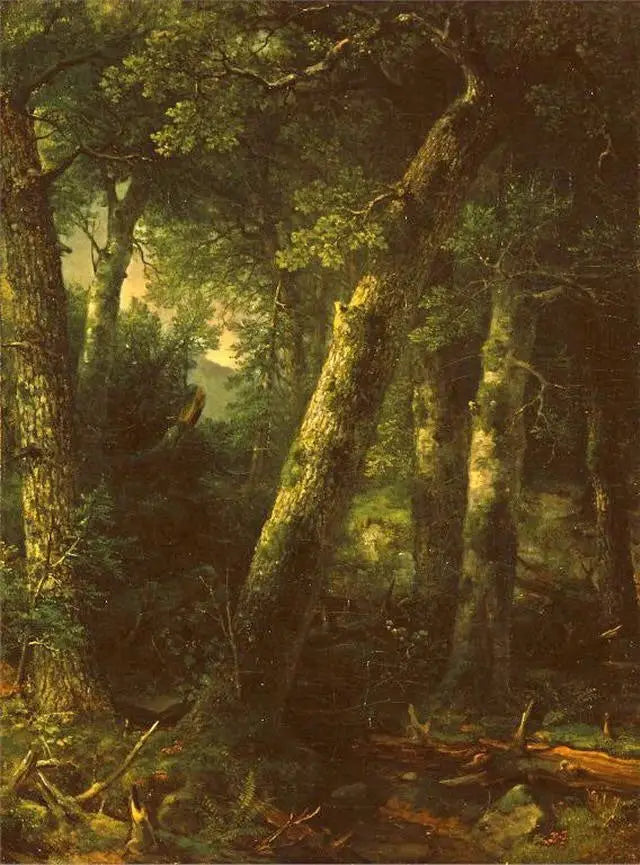 朝の光の中の森 - アッシャー・ブラウン・デュランド

Source:
Forêt dans la lumière du matin - Asher Brown Durand
