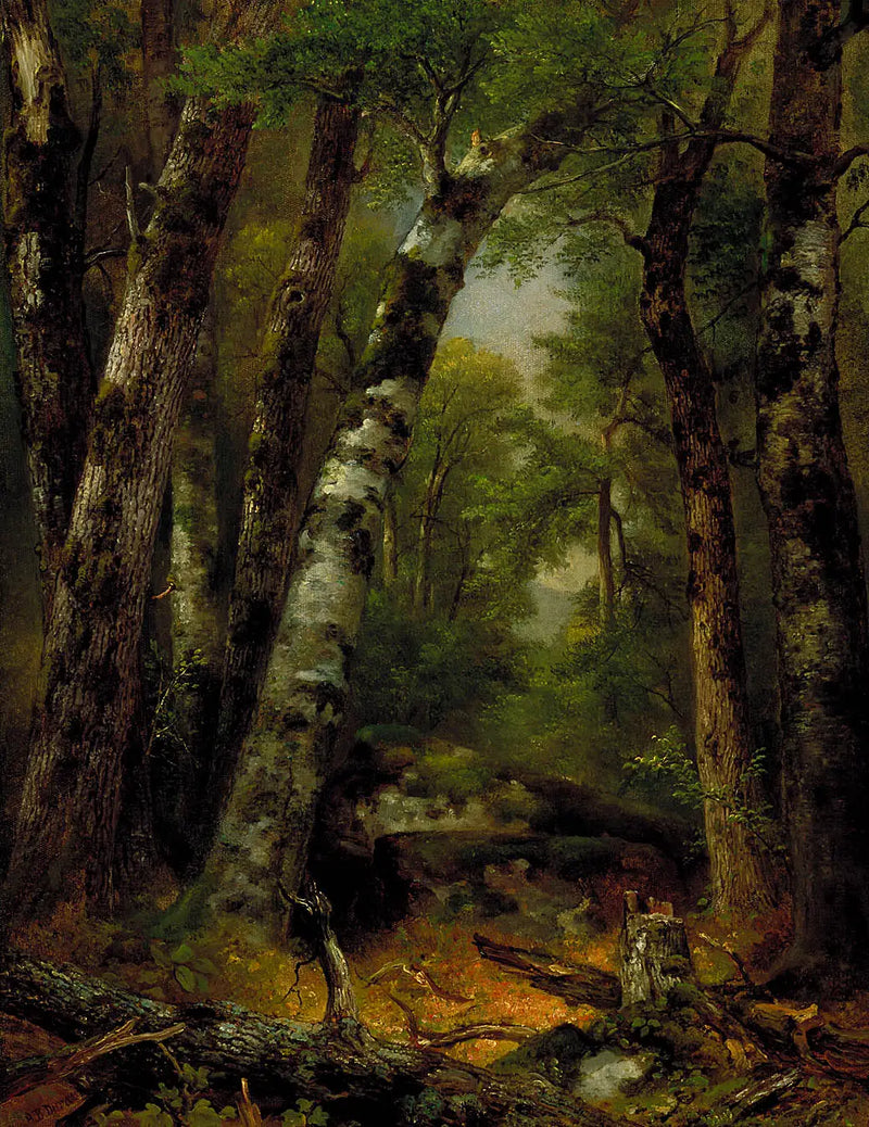 ウッドランド・グレン - アッシャー・ブラウン・デュランド

Source:
Woodland Glen - Asher Brown Durand