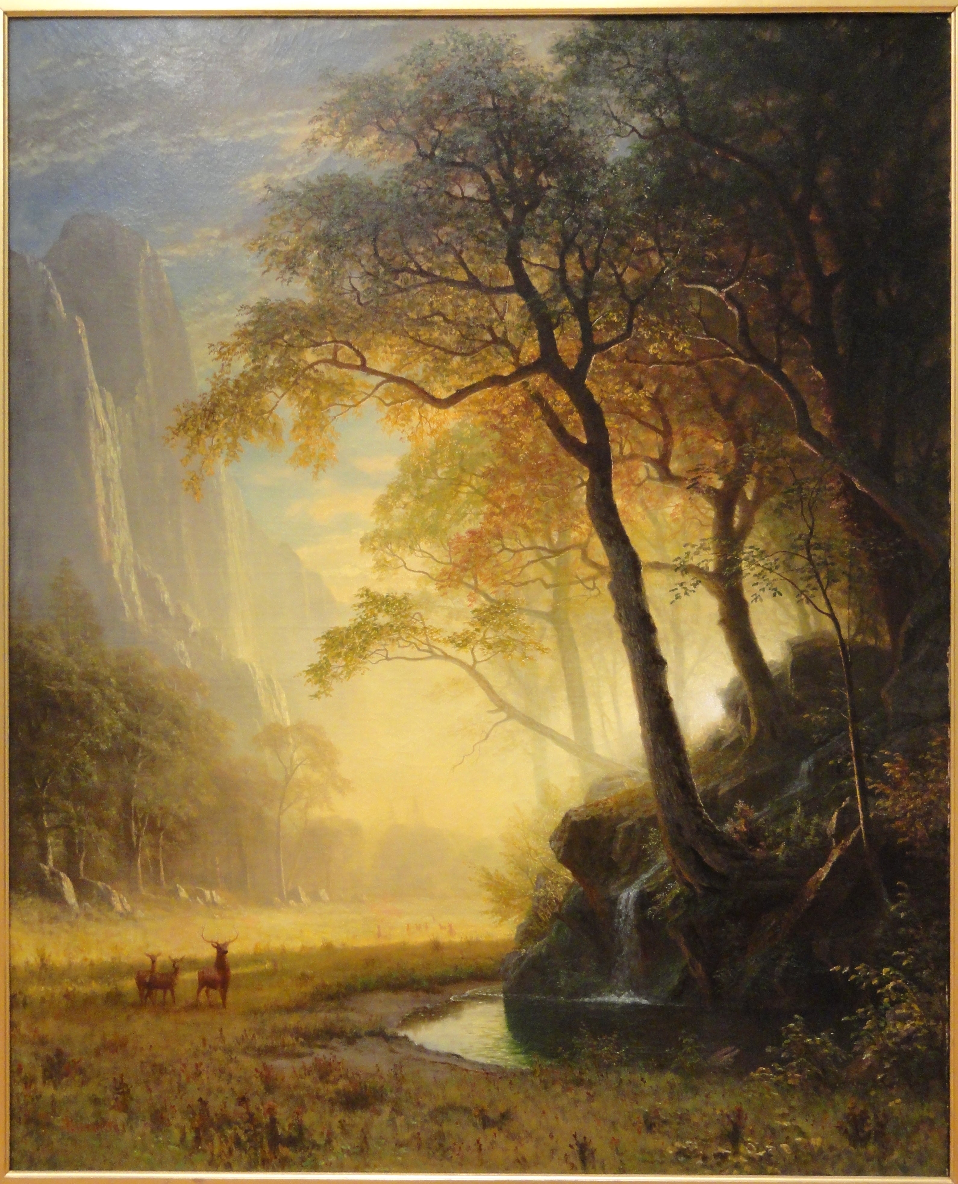 Canyon de Hetch Hetchy - Albert Bierstadt