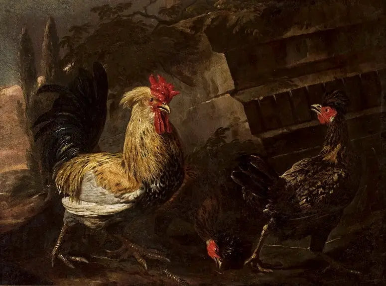 Coq et poules. - Melchior de Hondecoeter - Alpha Reproduction