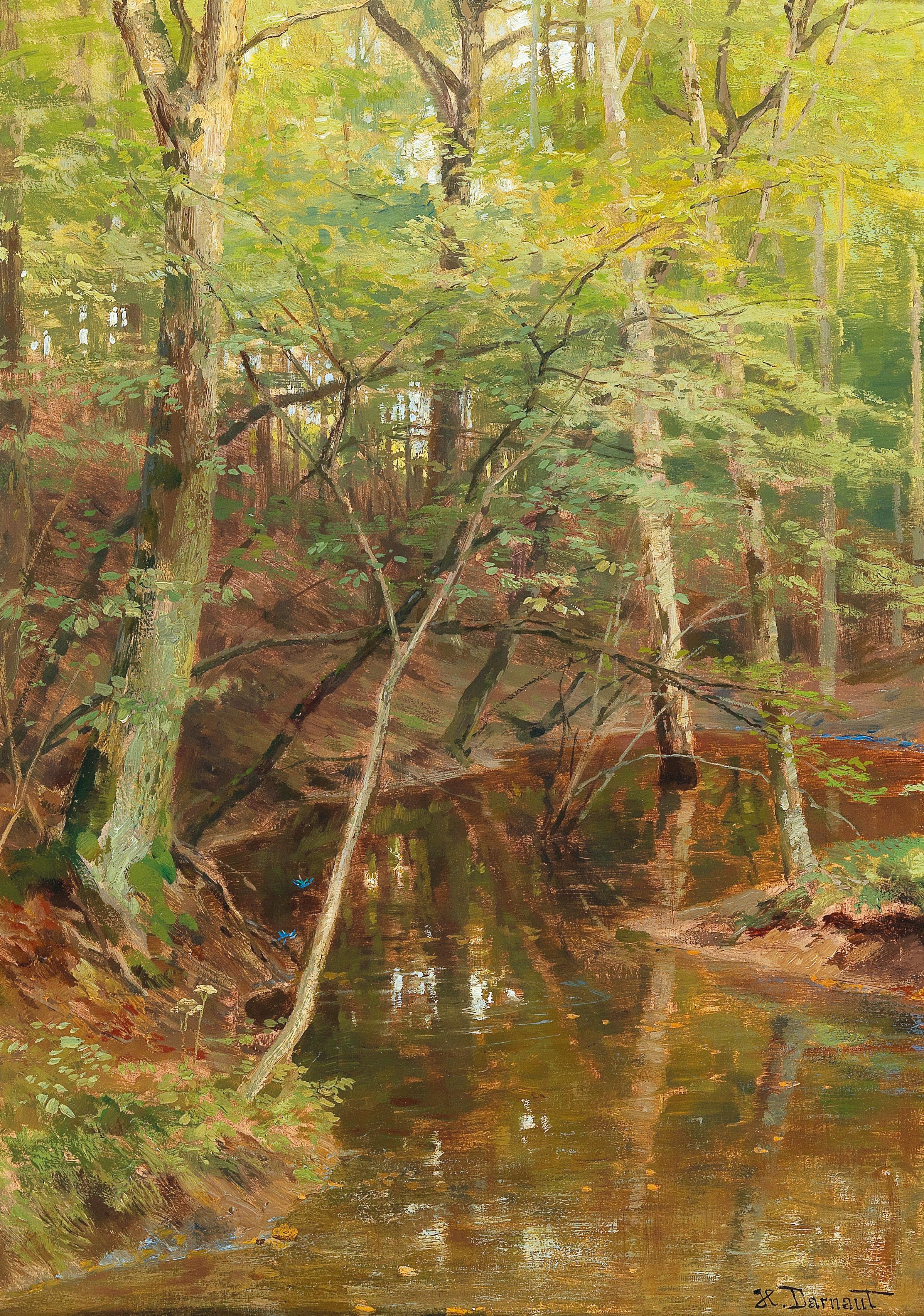 Ruisseau Woodland - Hugo Darnaut