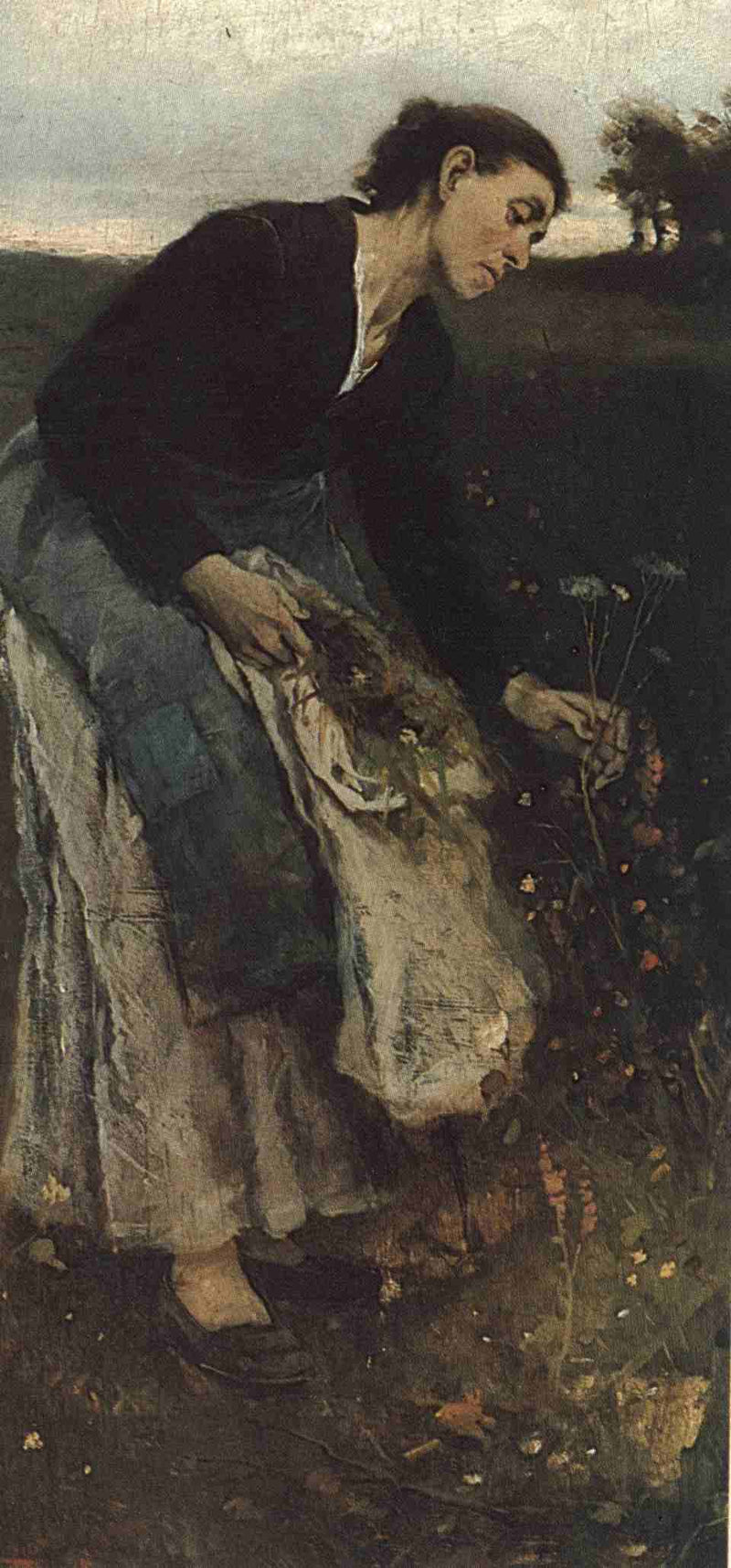 L’Herboriste - Jakub Schikaneder