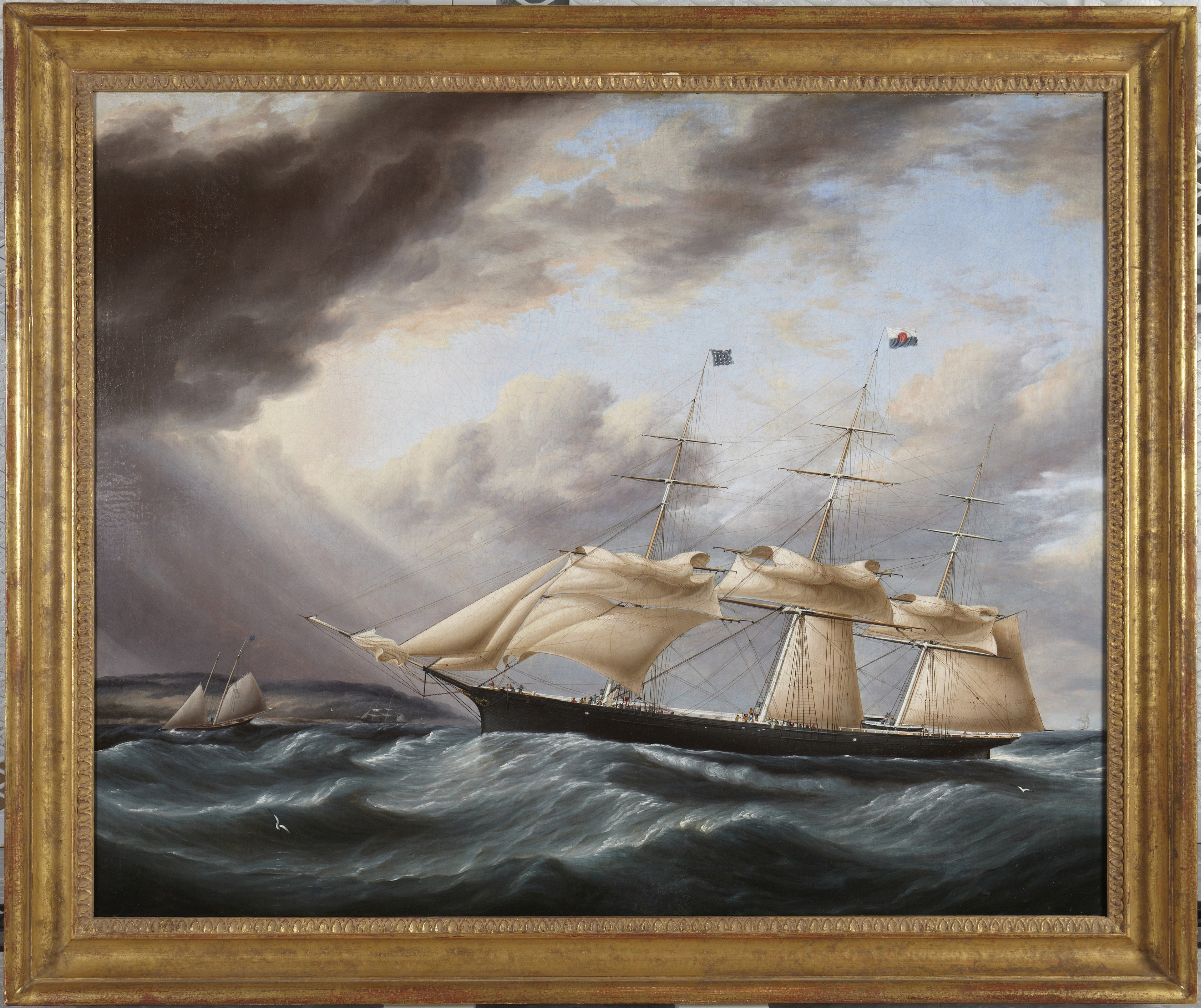 Navire clipper « Staghound » - James E. Buttersworth