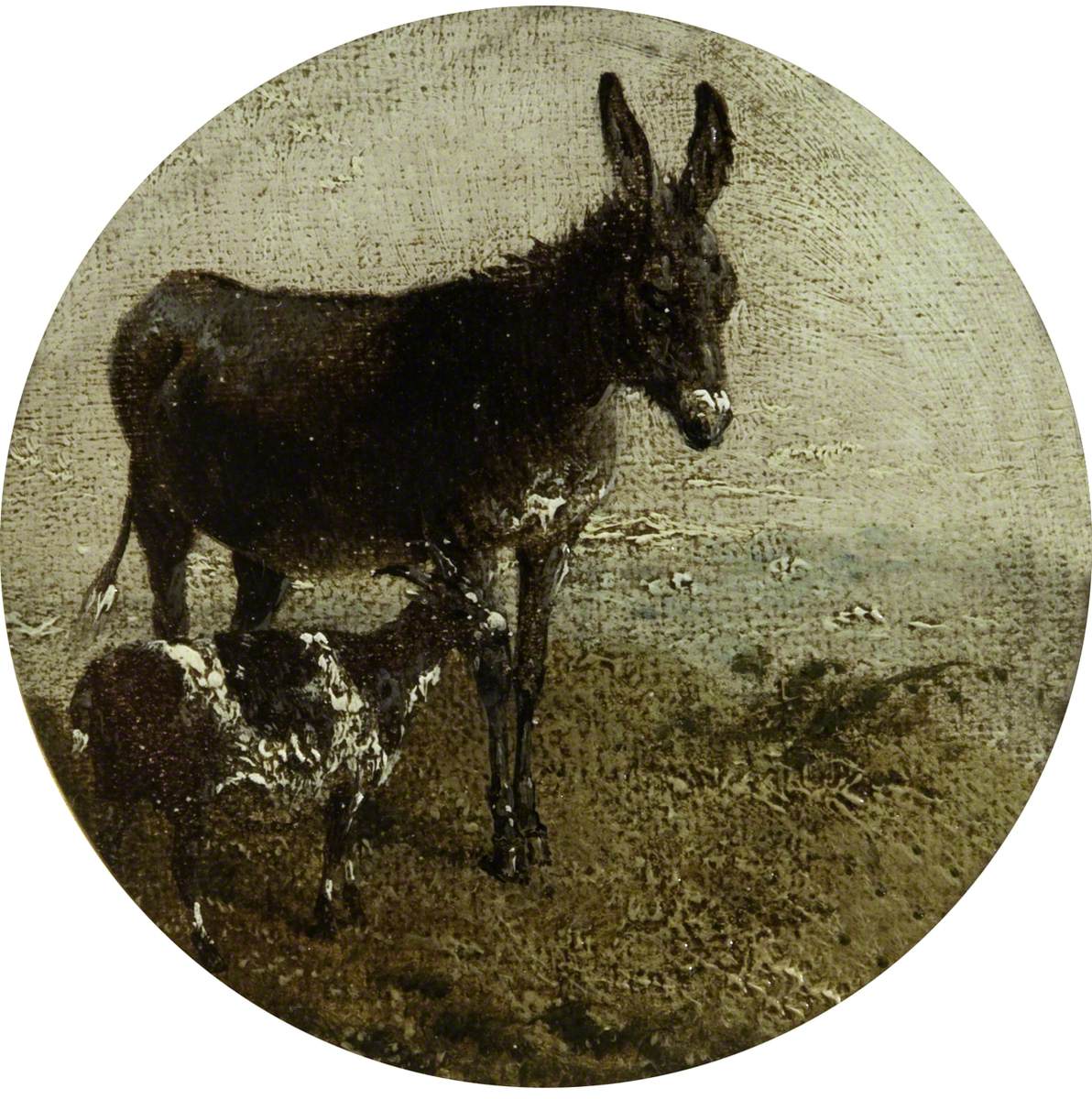Huit scènes de ferme circulaires : âne et chèvre - John Frederick Herring, Sr.