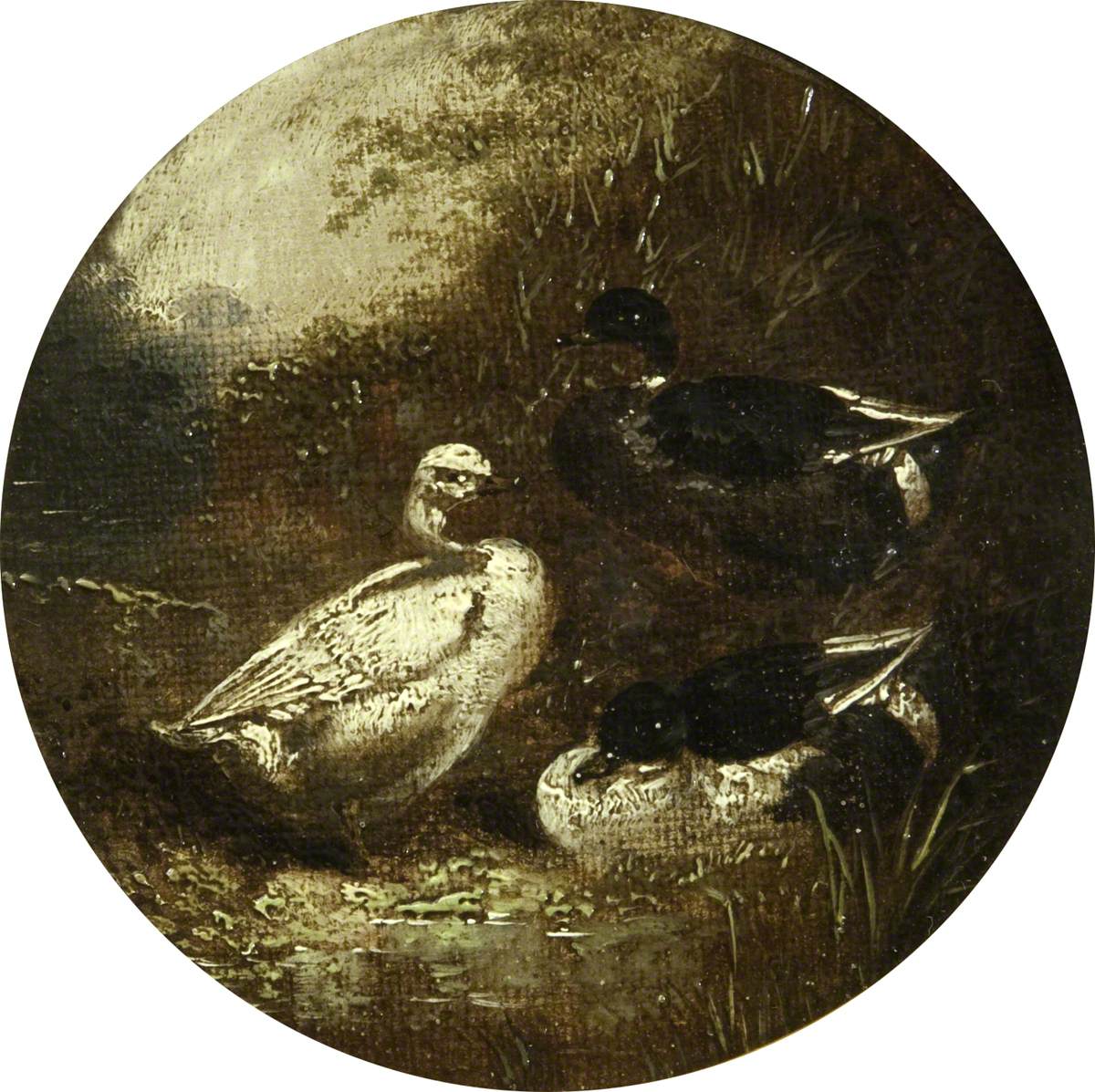 Huit scènes de ferme circulaires : Canards - John Frederick Herring, Sr.