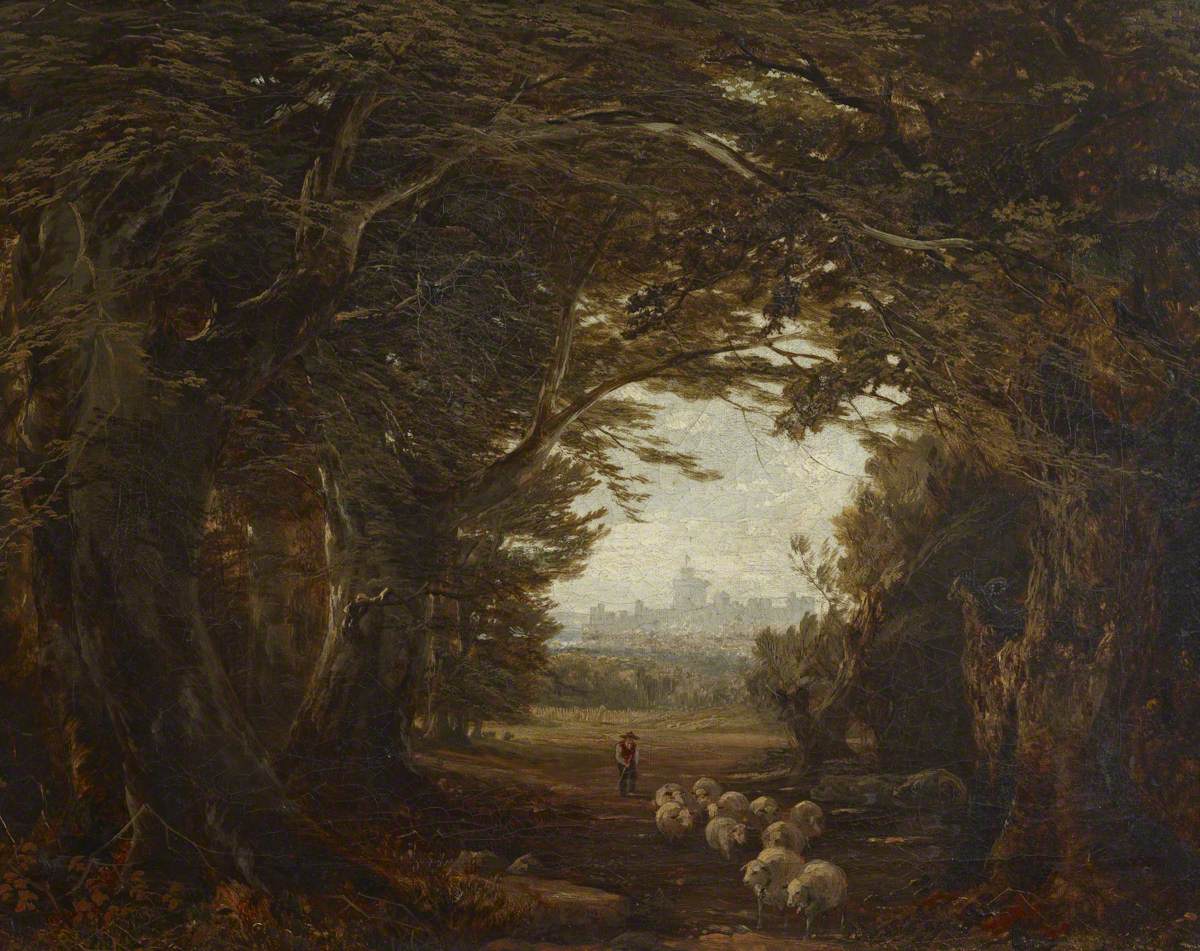 Un coup d'œil dans la forêt de Windsor - John Frederick Kensett