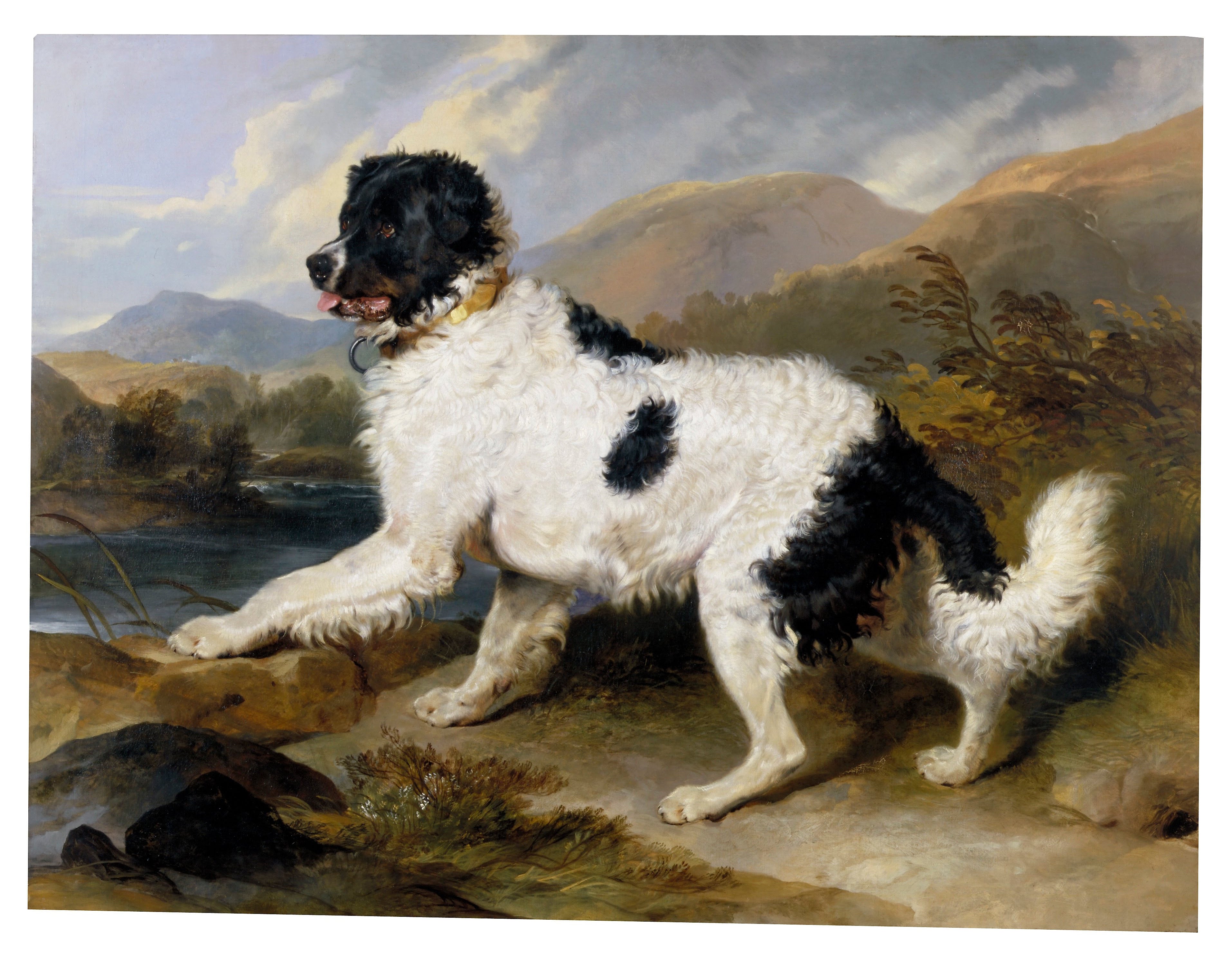 Lion', un chien de Terre-Neuve - Edwin Henry Landseer