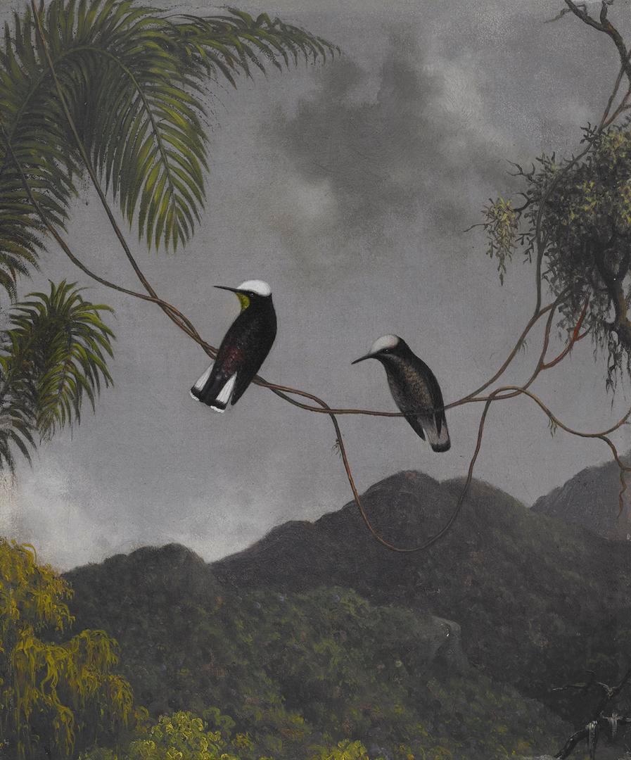 Bonnet de neige - Martin Johnson Heade