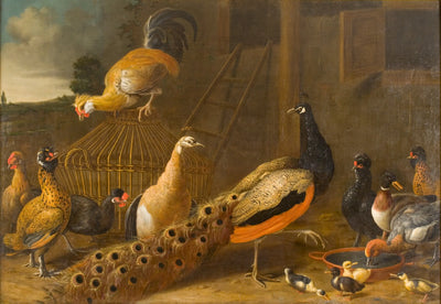 Q43084502 - Melchior de Hondecoeter - Alpha Reproduction