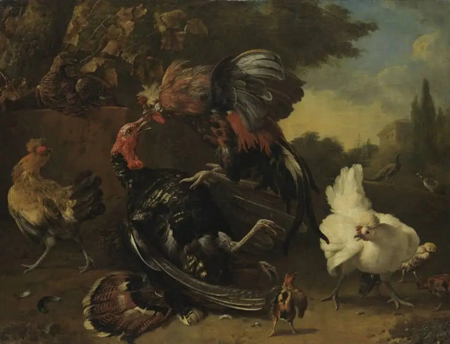 Combat entre un coq et une dinde - Melchior de Hondecoeter - Alpha Reproduction