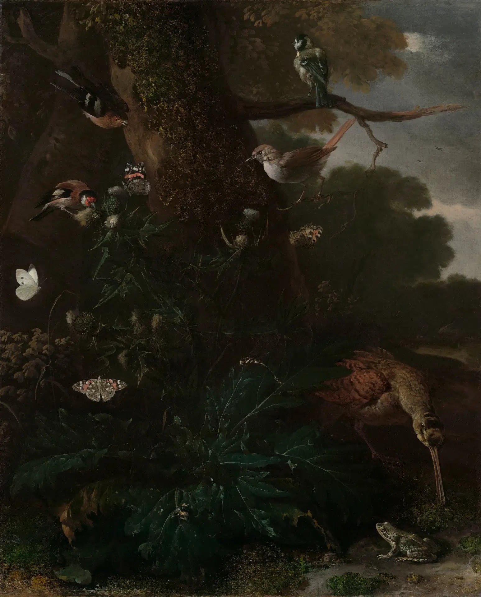 Animaux et plantes de la forêt - Melchior de Hondecoeter - Alpha Reproduction
