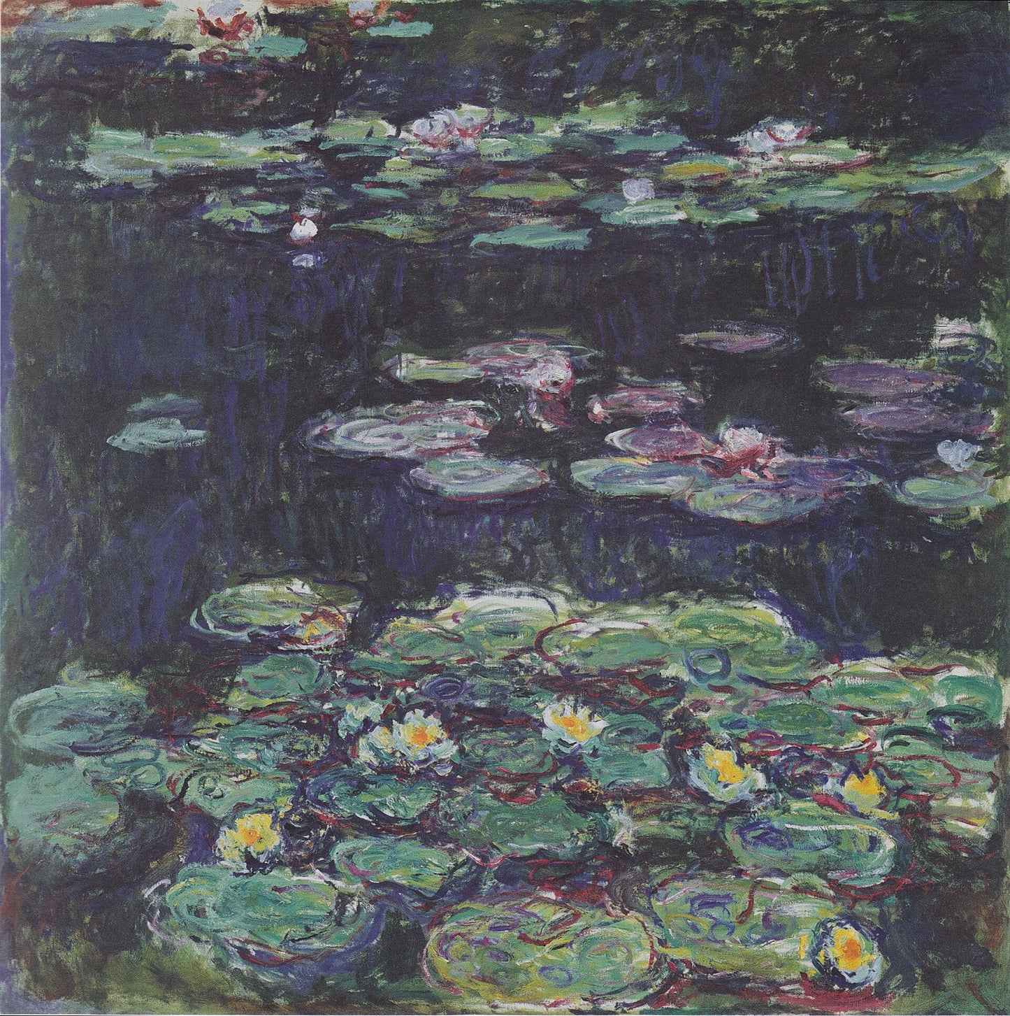 🎨 睡蓮 – 白と黄色の花