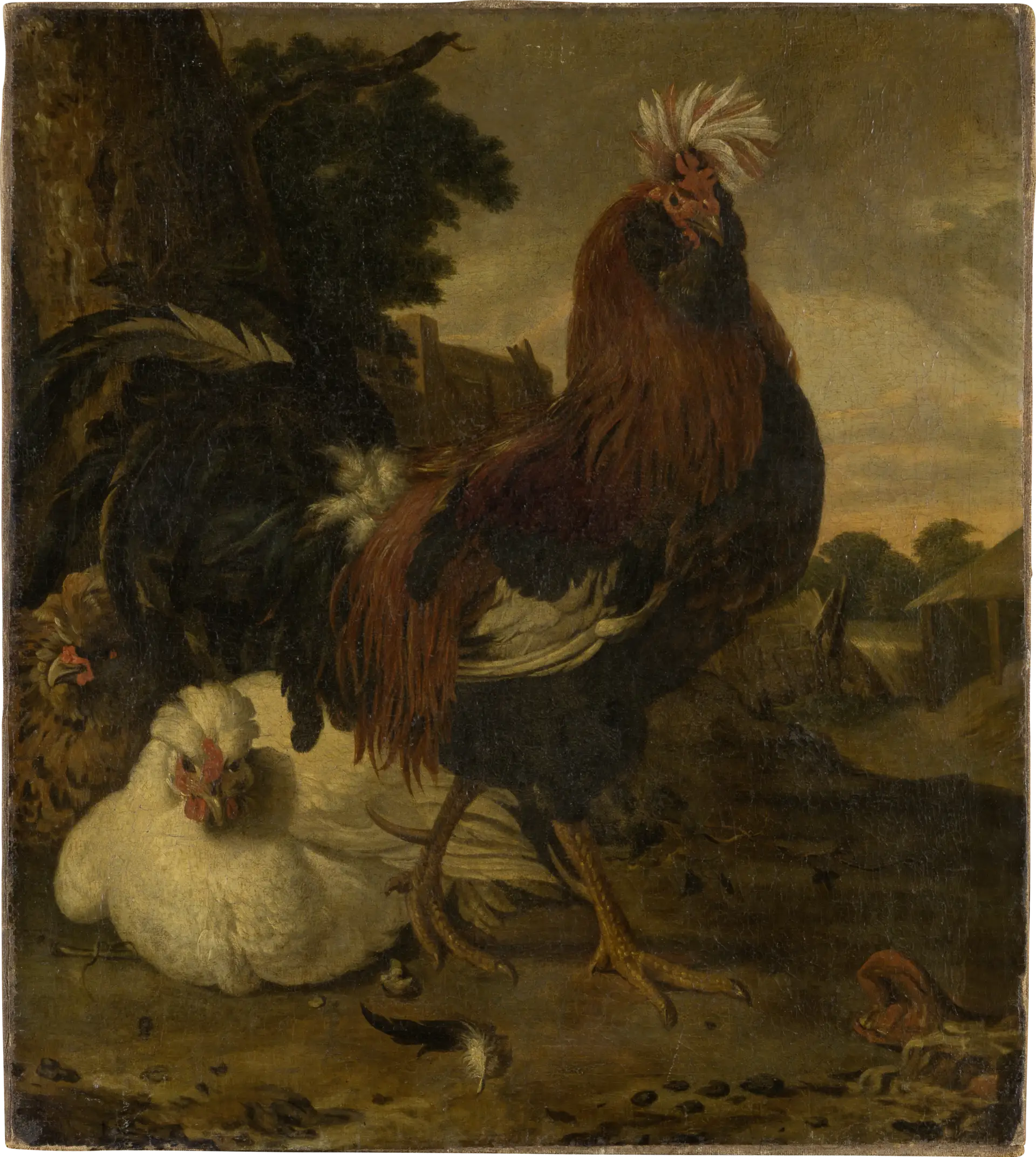 Coq dans une basse-cour - Melchior de Hondecoeter - Alpha Reproduction