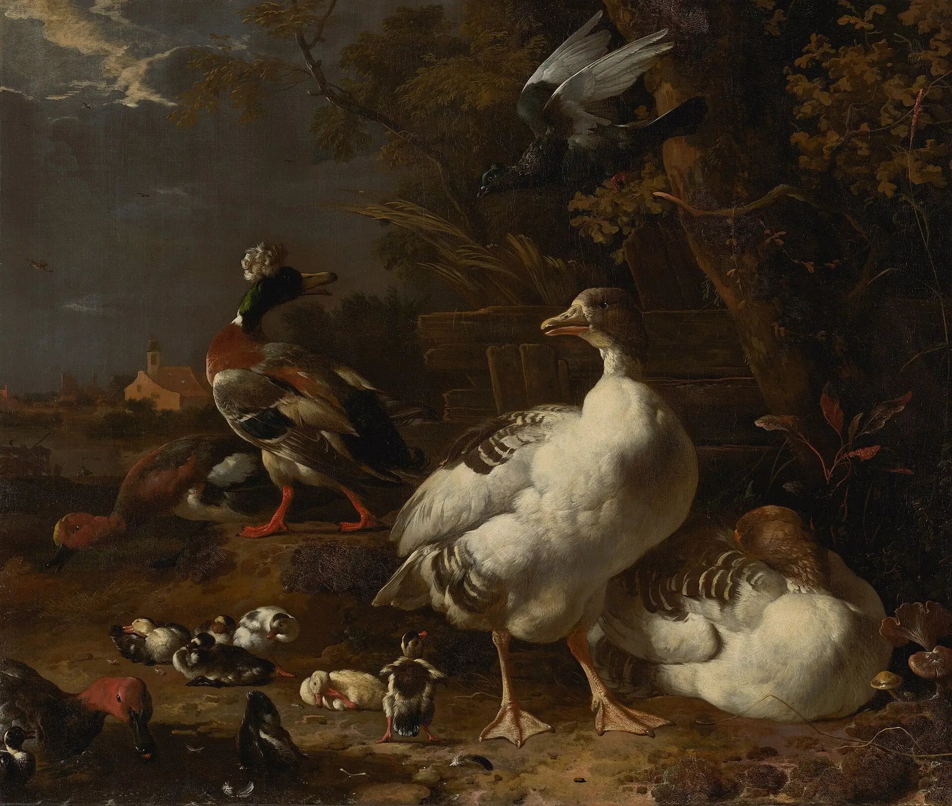 Oies et canards - Melchior de Hondecoeter - Alpha Reproduction