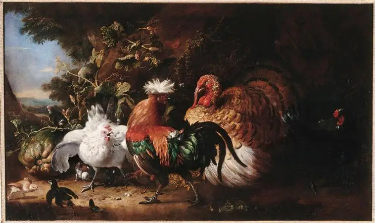Oiseaux de basse-cour - Melchior de Hondecoeter - Alpha Reproduction