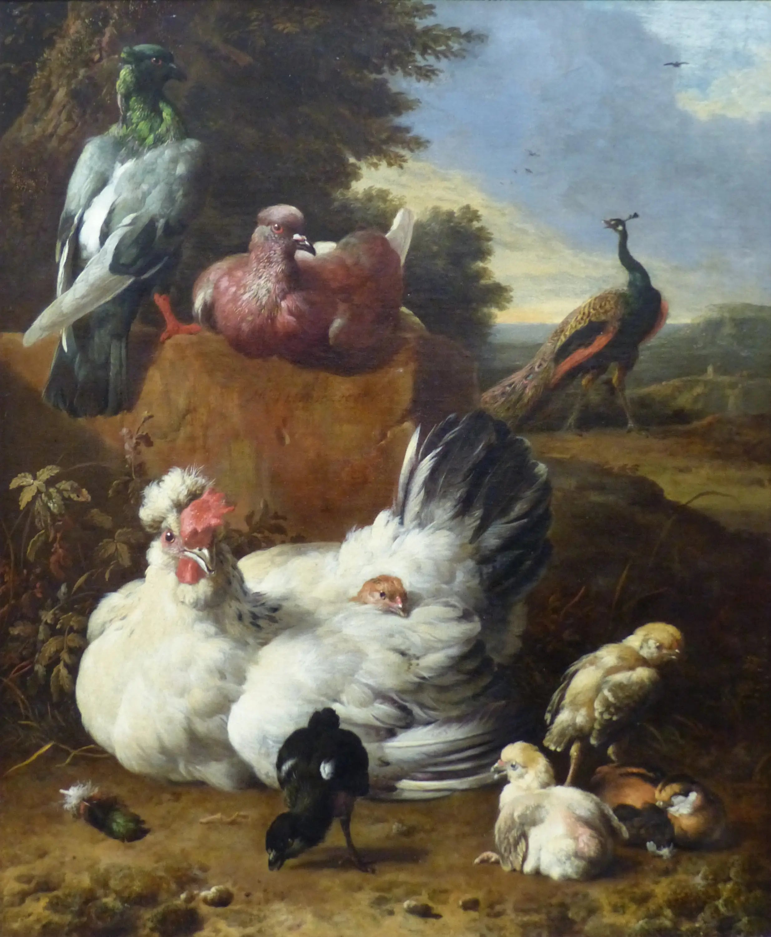 La poule blanche - Melchior de Hondecoeter - Alpha Reproduction